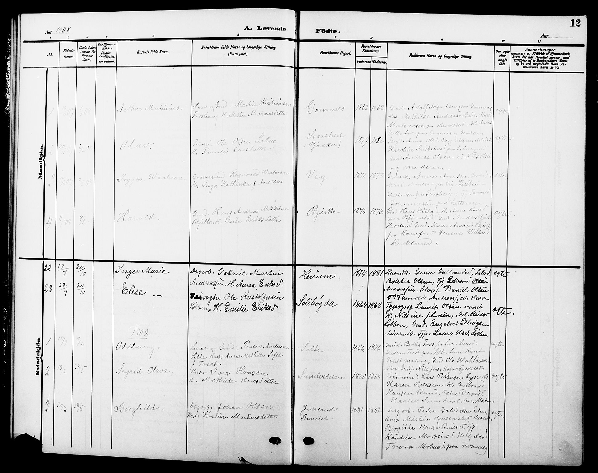 Hole kirkebøker, SAKO/A-228/G/Ga/L0004: Parish register (copy) no. I 4, 1905-1924, p. 12