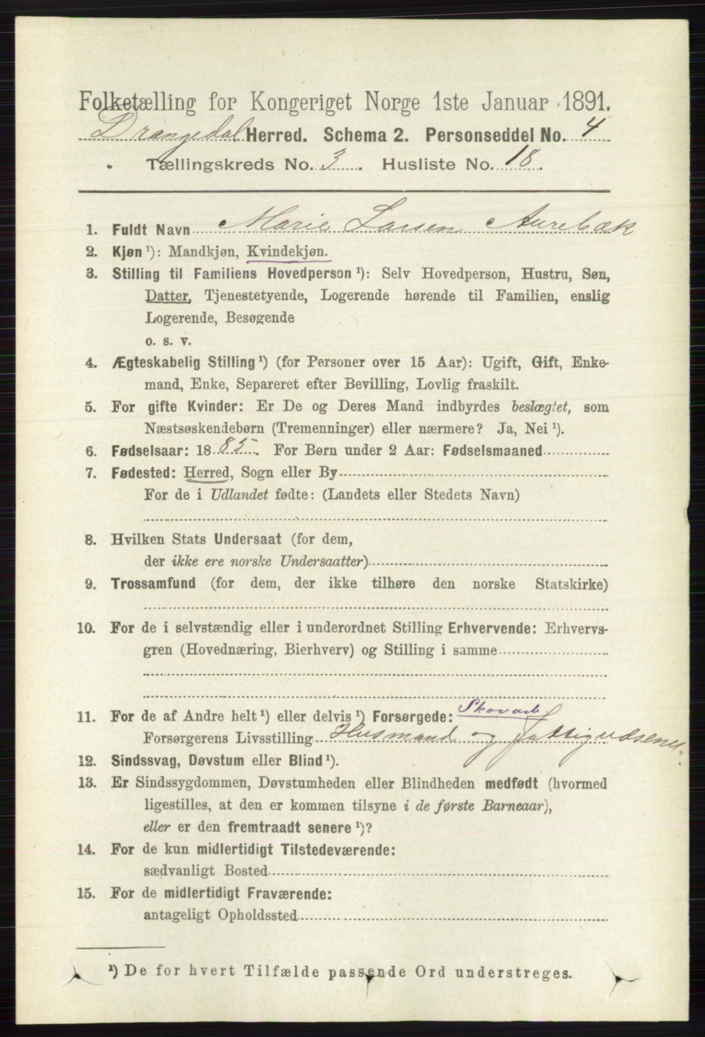 RA, 1891 census for 0817 Drangedal, 1891, p. 963