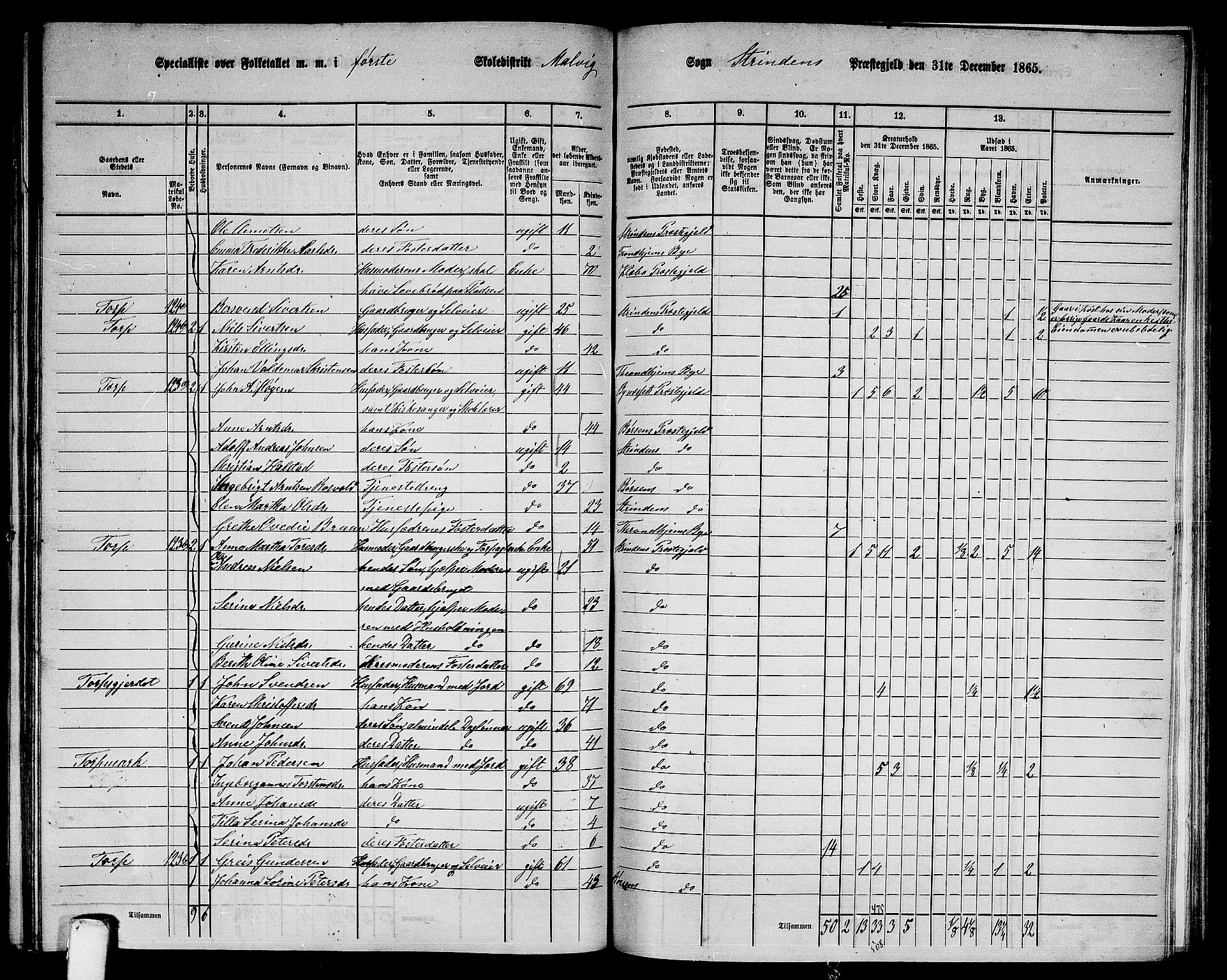 RA, 1865 census for Strinda, 1865, p. 204