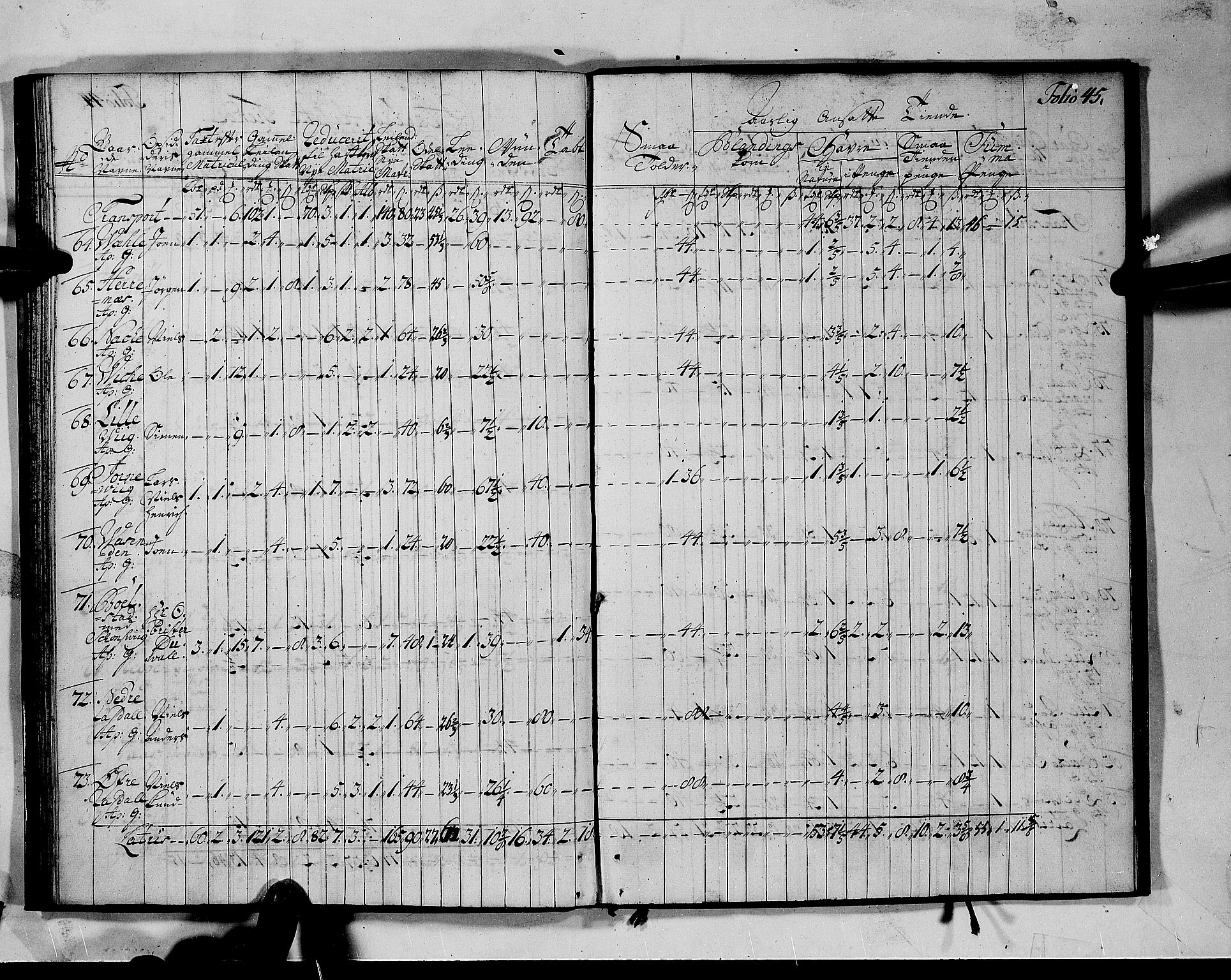 Rentekammeret inntil 1814, Realistisk ordnet avdeling, AV/RA-EA-4070/N/Nb/Nbf/L0142: Voss matrikkelprotokoll, 1723, p. 49