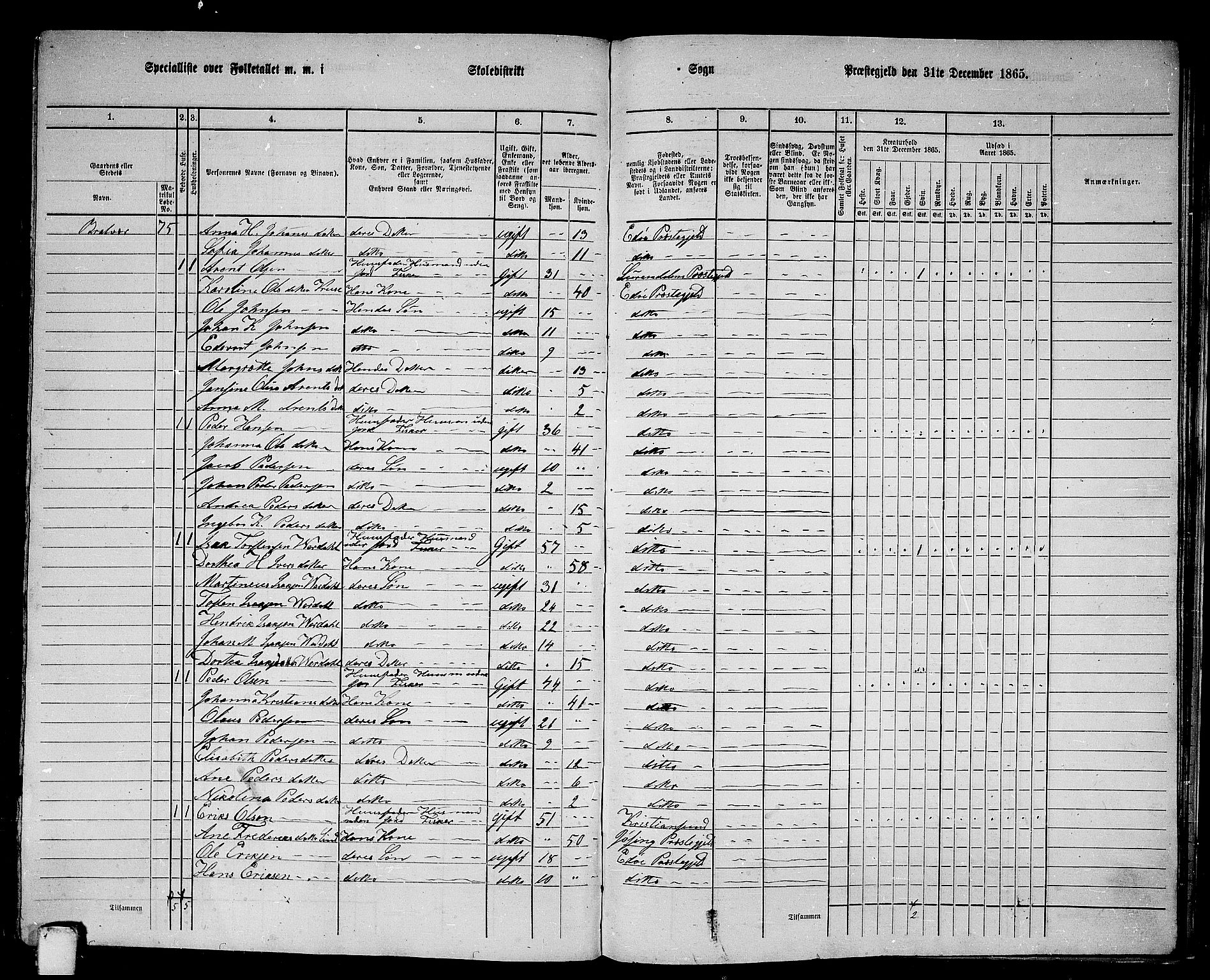 RA, 1865 census for Edøy, 1865, p. 133