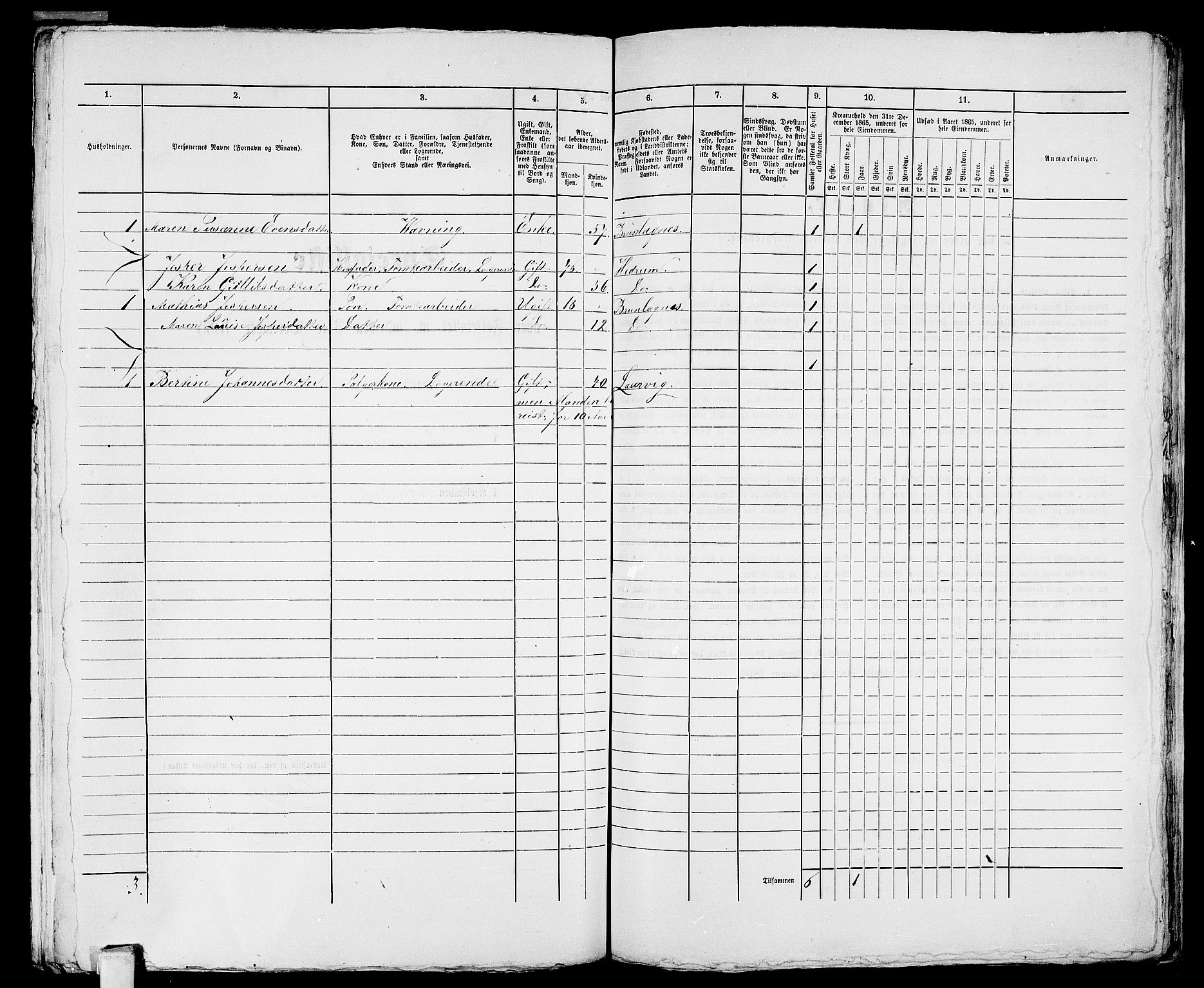 RA, 1865 census for Larvik, 1865, p. 1197