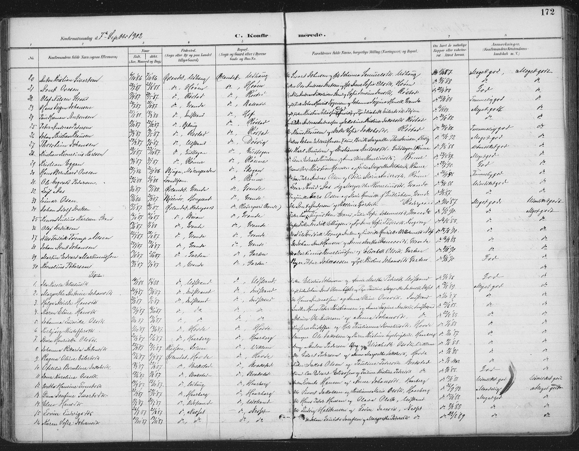 Ministerialprotokoller, klokkerbøker og fødselsregistre - Sør-Trøndelag, SAT/A-1456/659/L0743: Parish register (official) no. 659A13, 1893-1910, p. 172