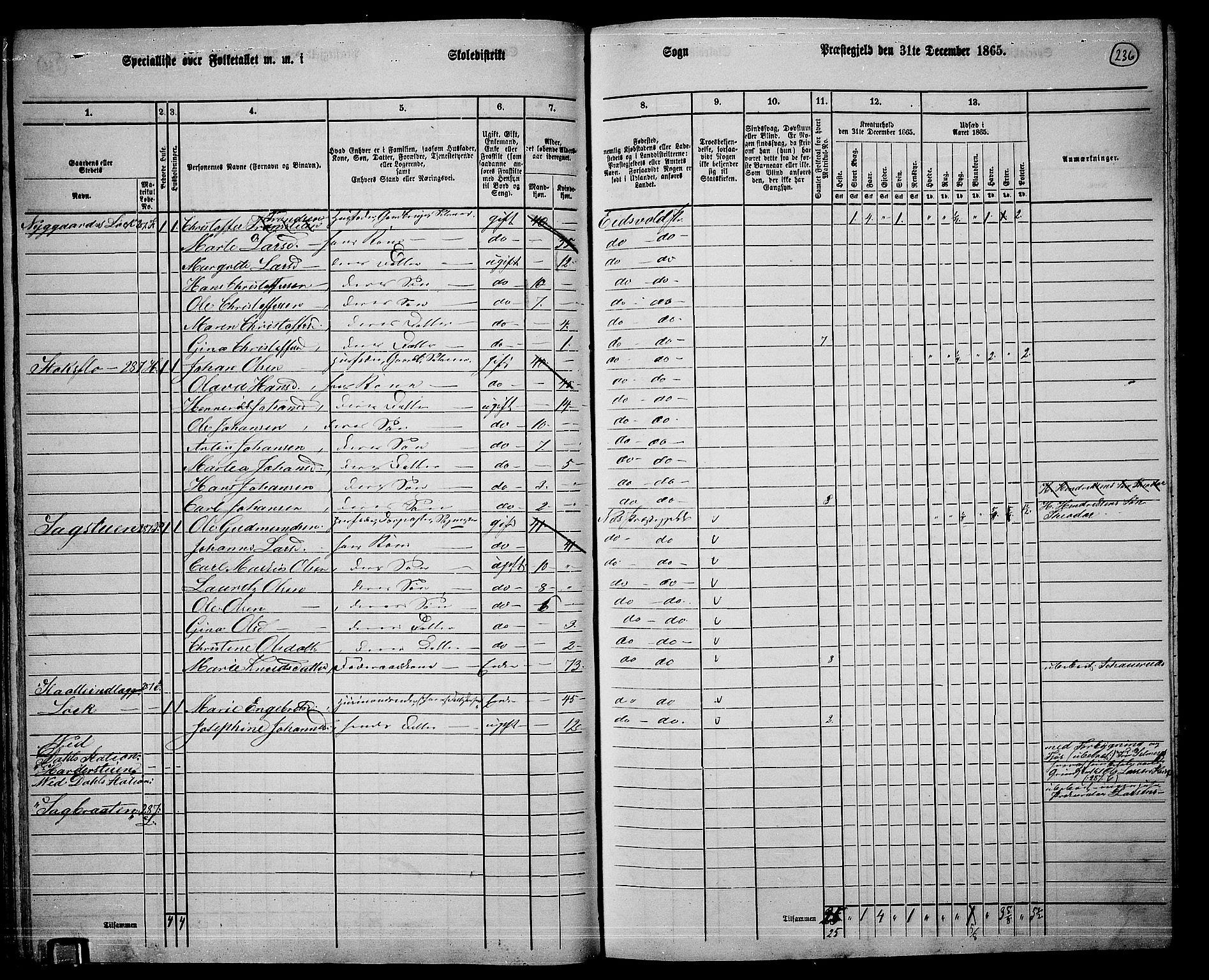 RA, 1865 census for Eidsvoll, 1865, p. 211