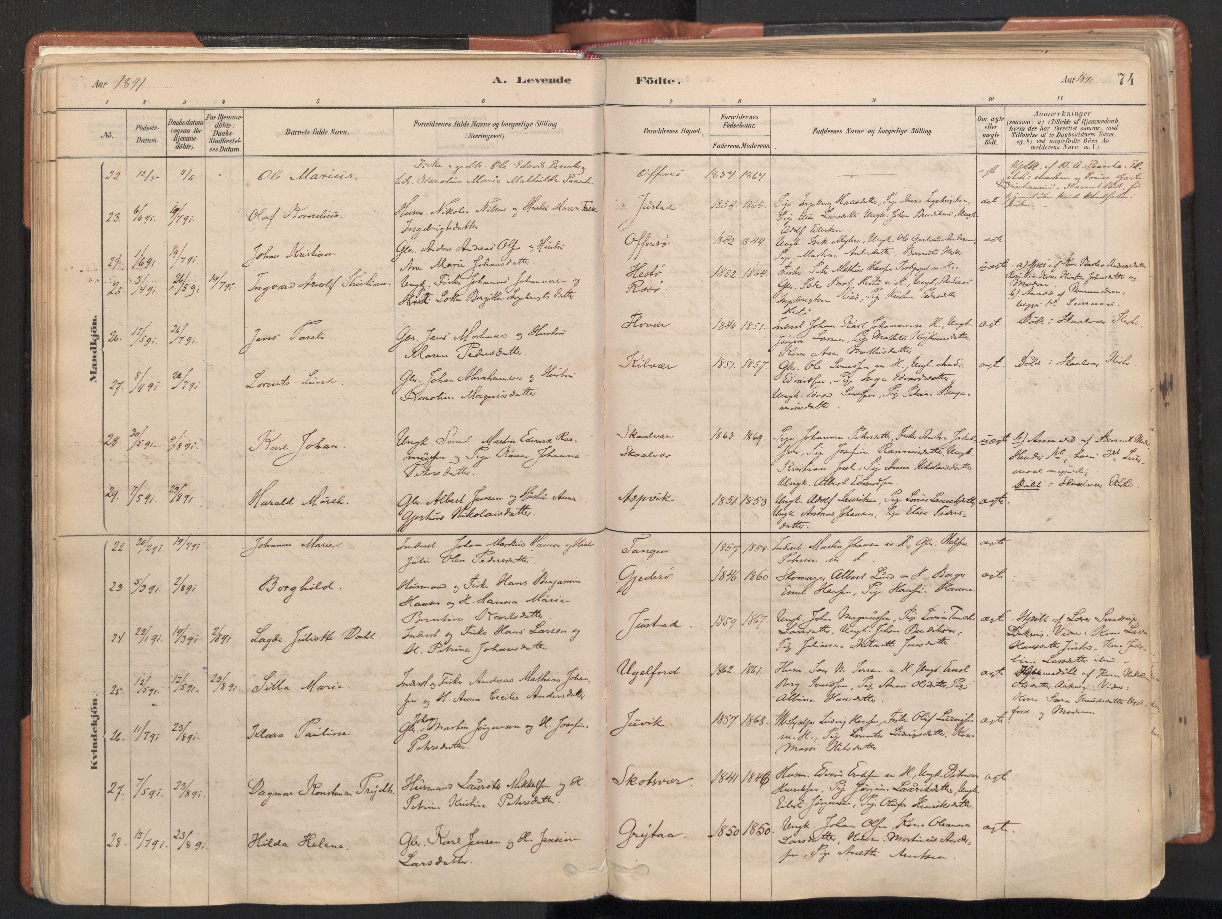 Ministerialprotokoller, klokkerbøker og fødselsregistre - Nordland, SAT/A-1459/817/L0264: Parish register (official) no. 817A04, 1878-1907, p. 74