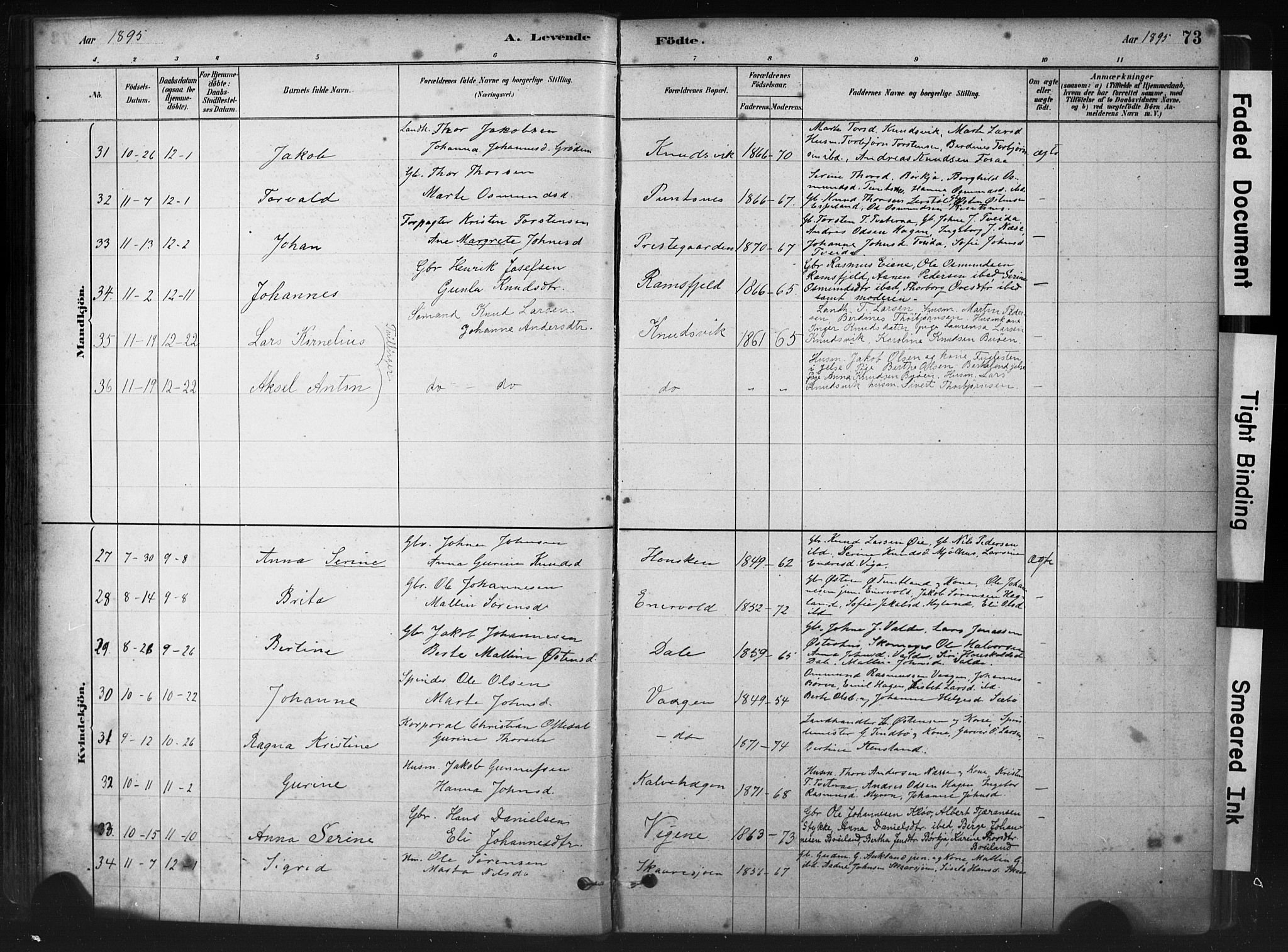 Hjelmeland sokneprestkontor, AV/SAST-A-101843/01/IV/L0014: Parish register (official) no. A 14, 1879-1900, p. 73