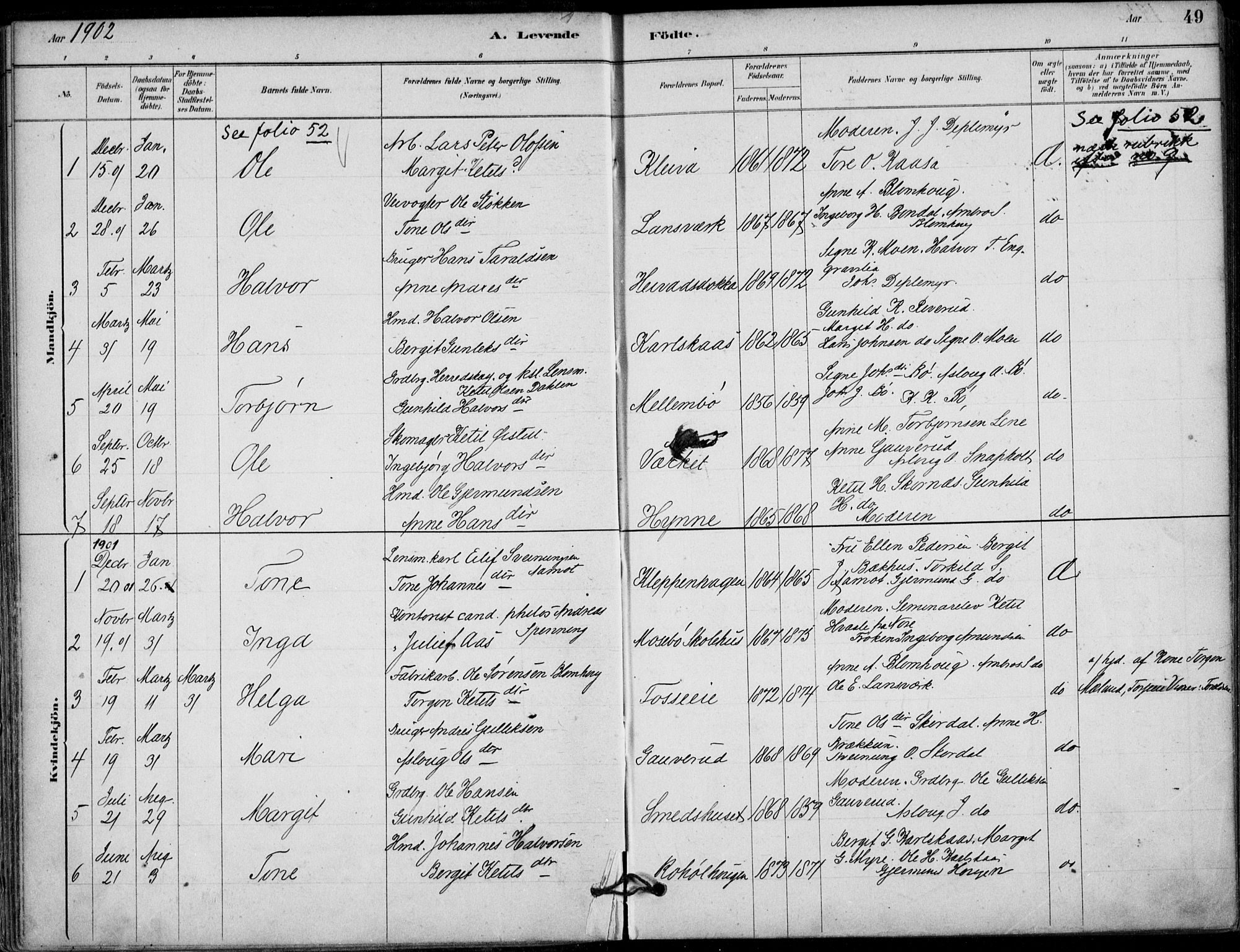Hjartdal kirkebøker, SAKO/A-270/F/Fb/L0002: Parish register (official) no. II 2, 1880-1932, p. 49