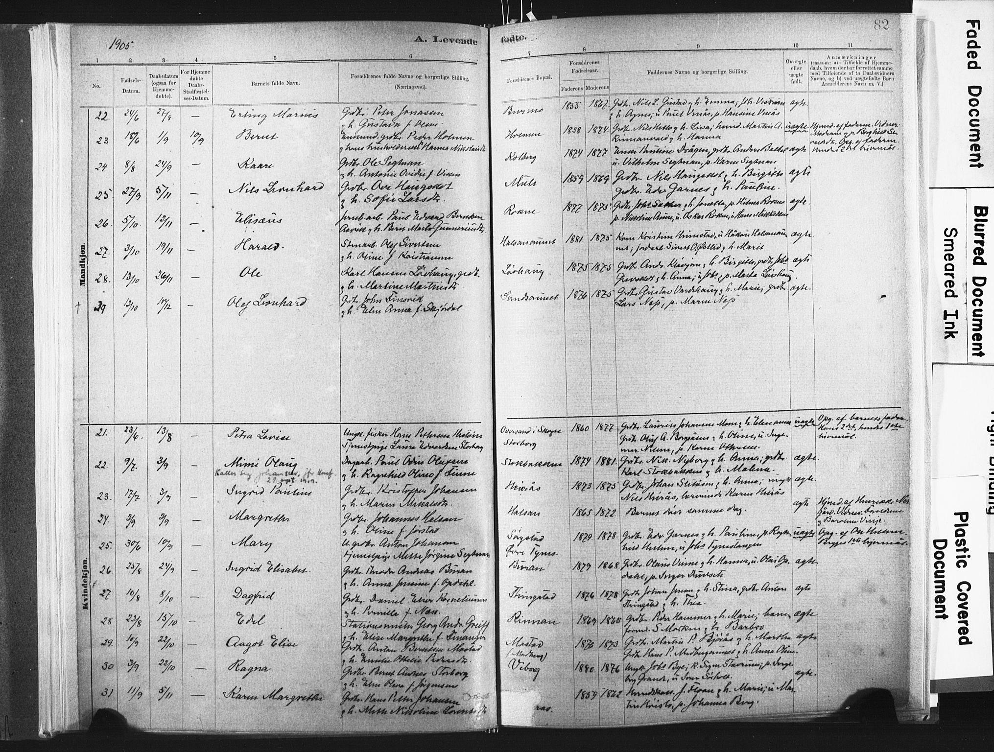Ministerialprotokoller, klokkerbøker og fødselsregistre - Nord-Trøndelag, SAT/A-1458/721/L0207: Parish register (official) no. 721A02, 1880-1911, p. 82