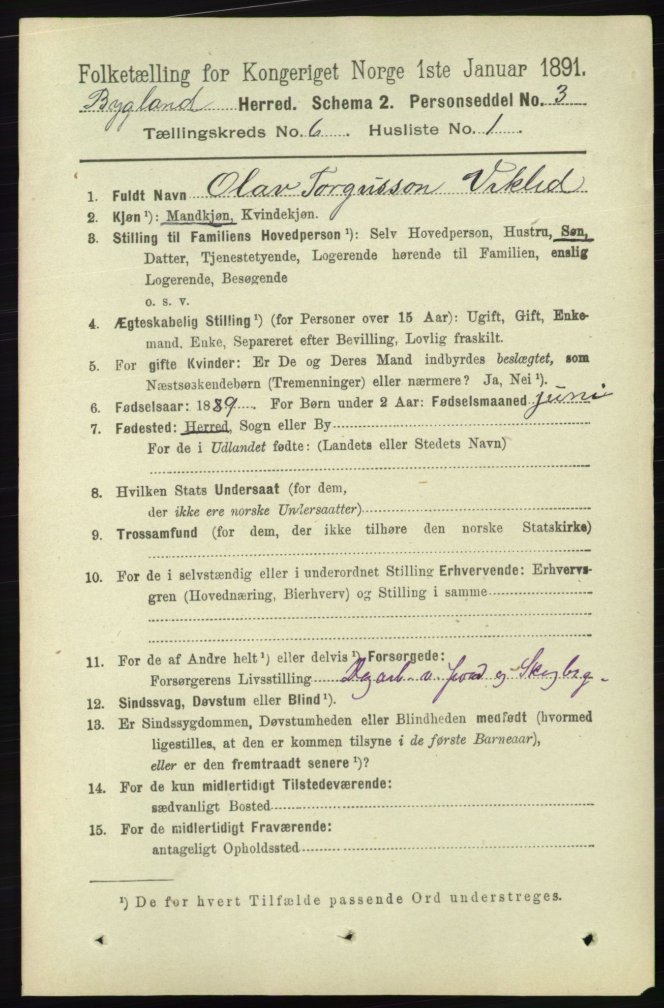 RA, 1891 census for 0938 Bygland, 1891, p. 1338