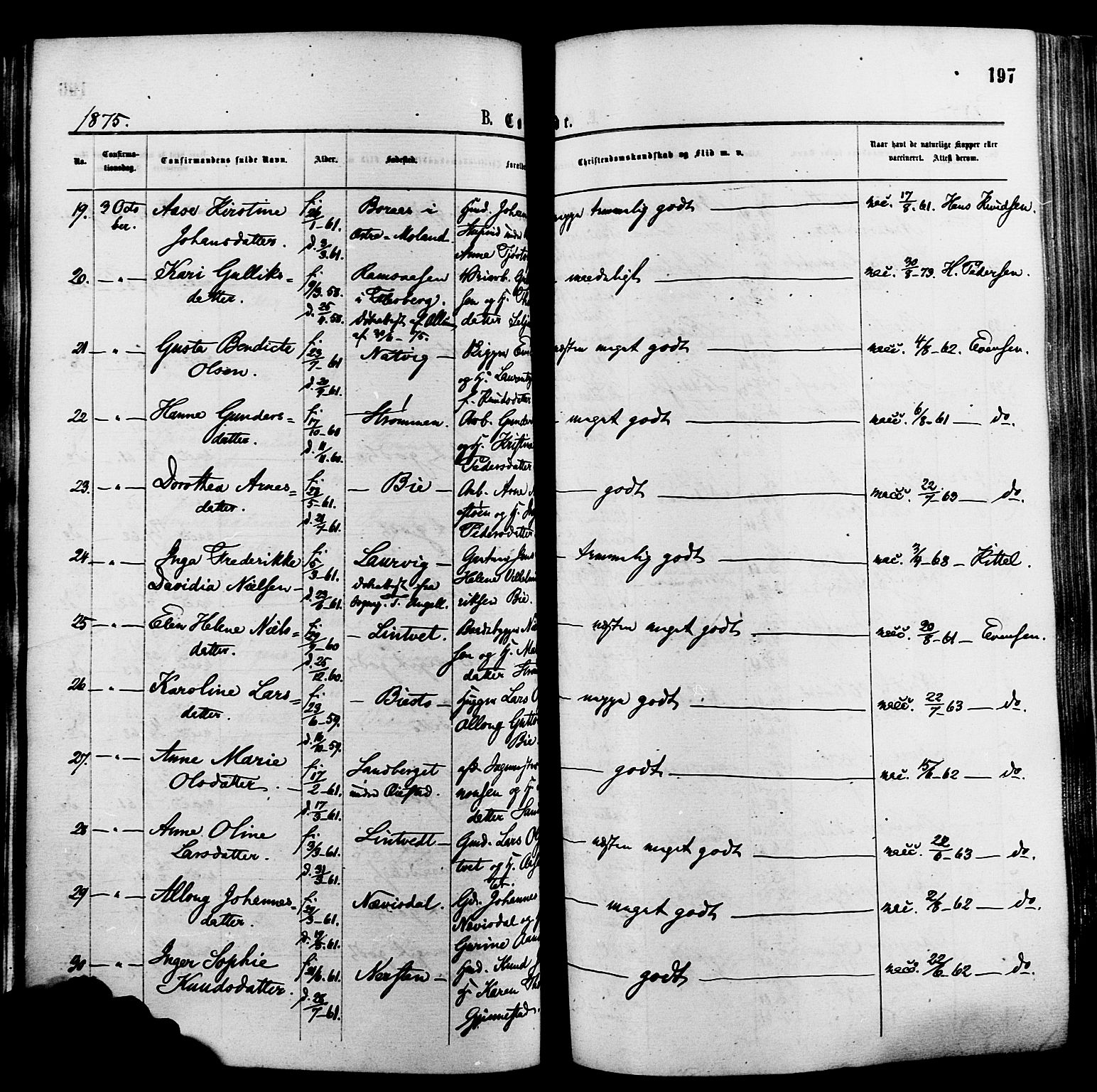 Øyestad sokneprestkontor, AV/SAK-1111-0049/F/Fa/L0016: Parish register (official) no. A 16, 1874-1886, p. 197