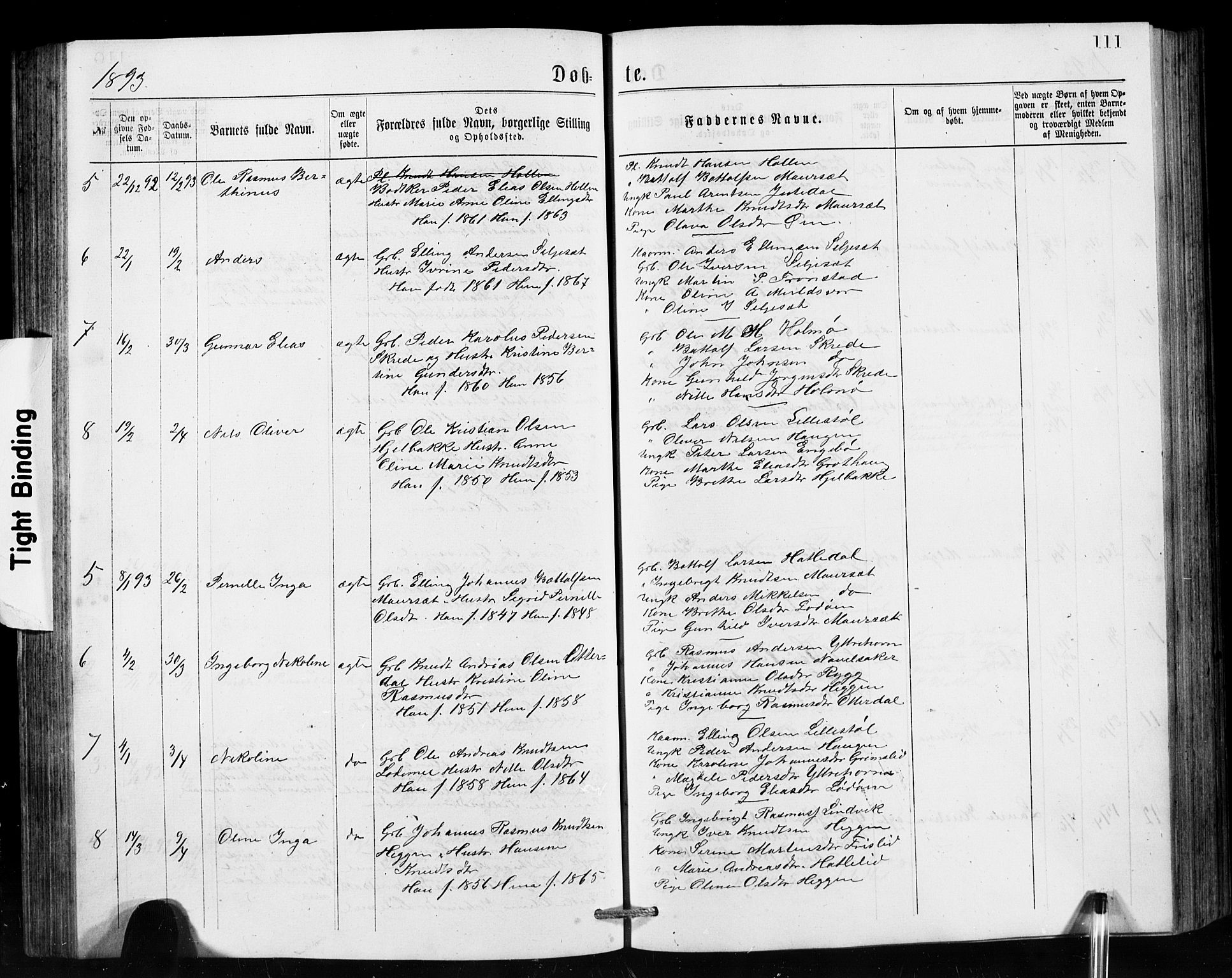 Hornindal sokneprestembete, SAB/A-82401/H/Hab: Parish register (copy) no. A 1, 1876-1894, p. 111