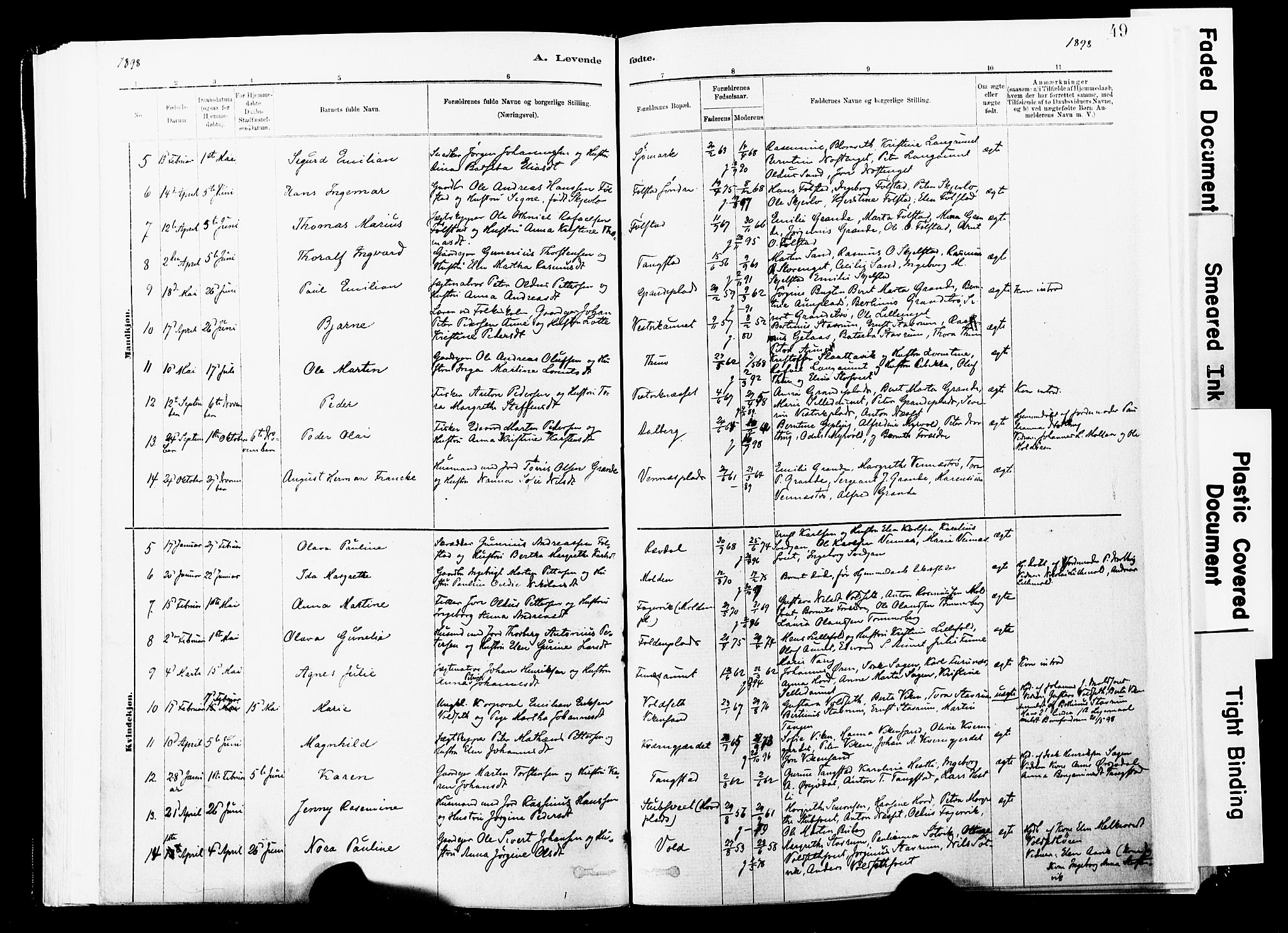 Ministerialprotokoller, klokkerbøker og fødselsregistre - Nord-Trøndelag, SAT/A-1458/744/L0420: Parish register (official) no. 744A04, 1882-1904, p. 49