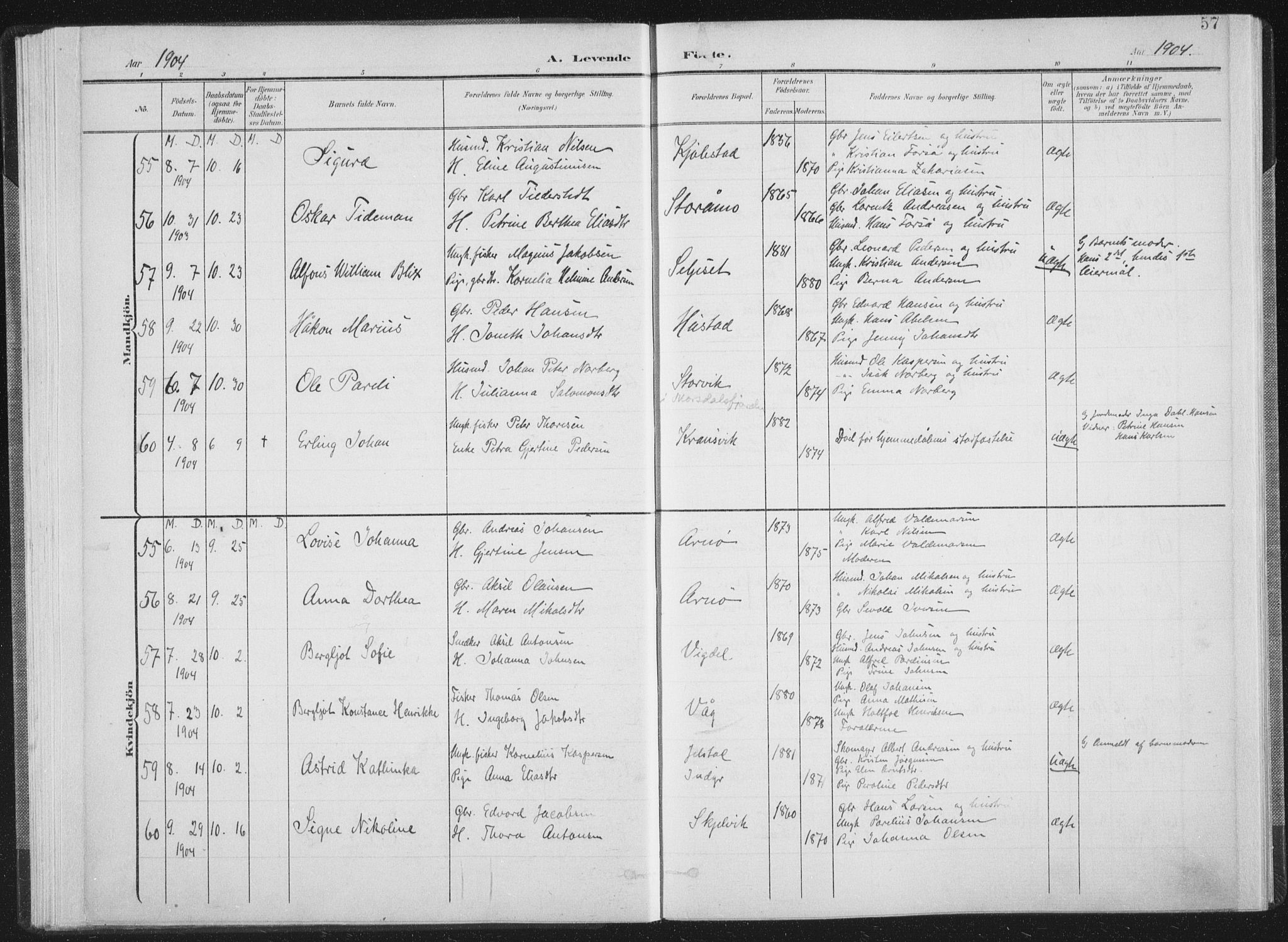 Ministerialprotokoller, klokkerbøker og fødselsregistre - Nordland, AV/SAT-A-1459/805/L0102: Parish register (official) no. 805A08I, 1900-1909, p. 57