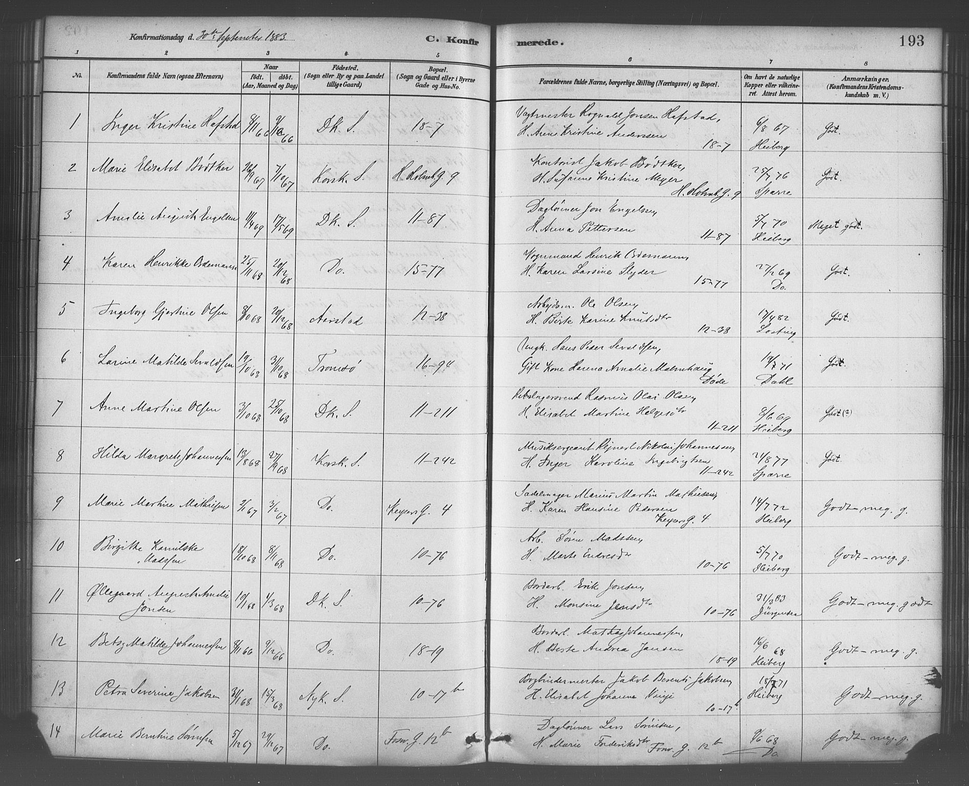 Domkirken sokneprestembete, AV/SAB-A-74801/H/Haa/L0030: Parish register (official) no. C 5, 1880-1898, p. 193