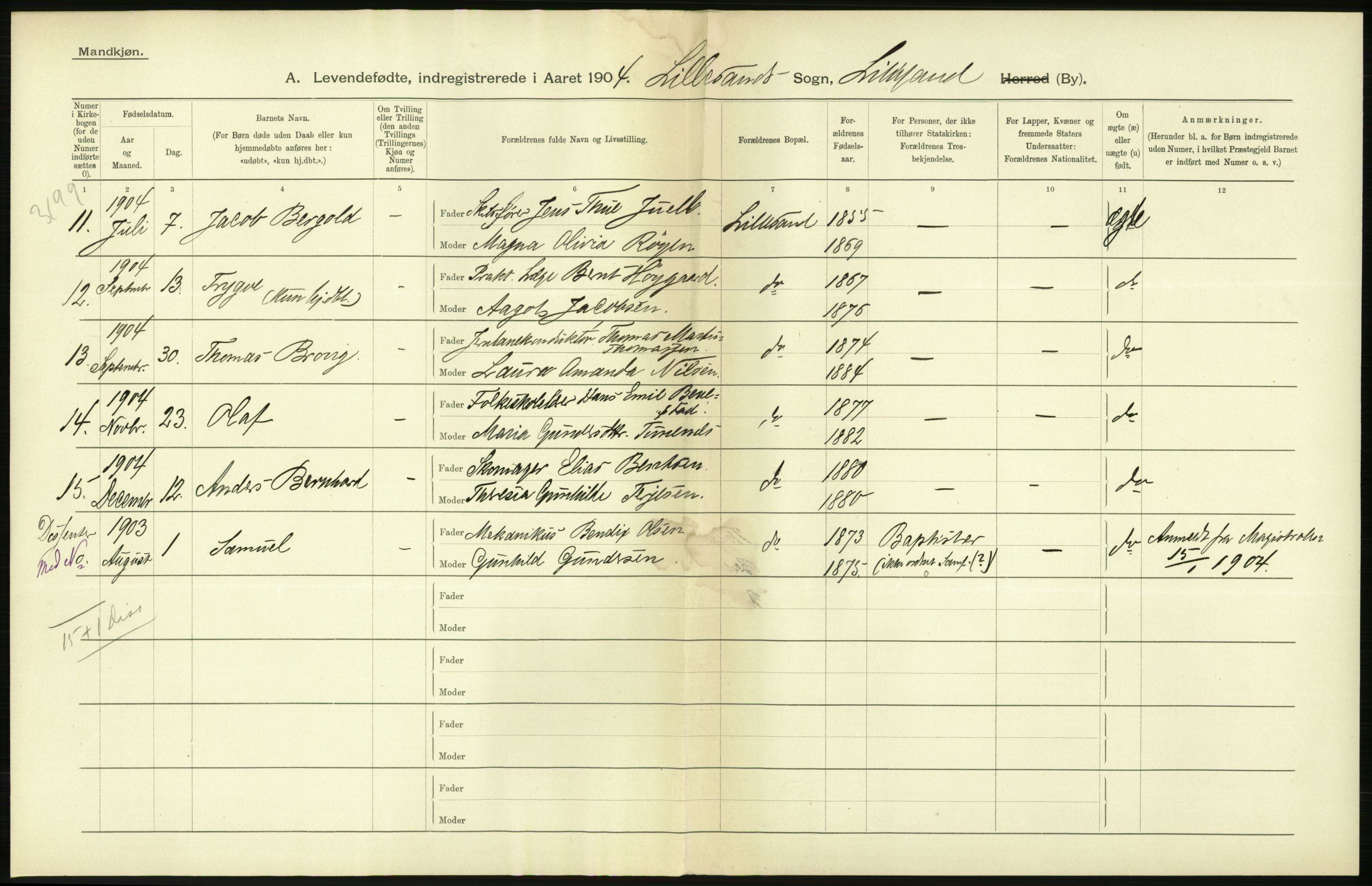 Statistisk sentralbyrå, Sosiodemografiske emner, Befolkning, RA/S-2228/D/Df/Dfa/Dfab/L0010: Nedenes amt: Fødte, gifte, døde, 1904, p. 246