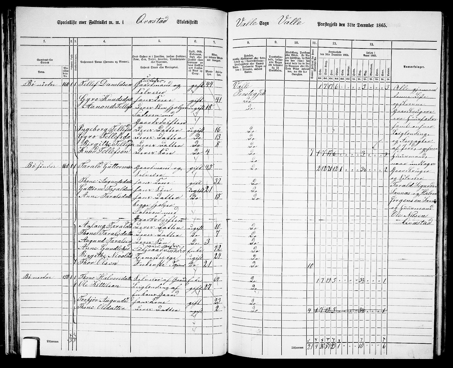 RA, 1865 census for Valle, 1865, p. 45