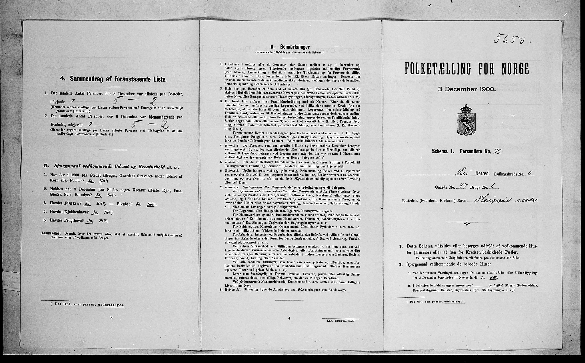 RA, 1900 census for Lier, 1900, p. 1149