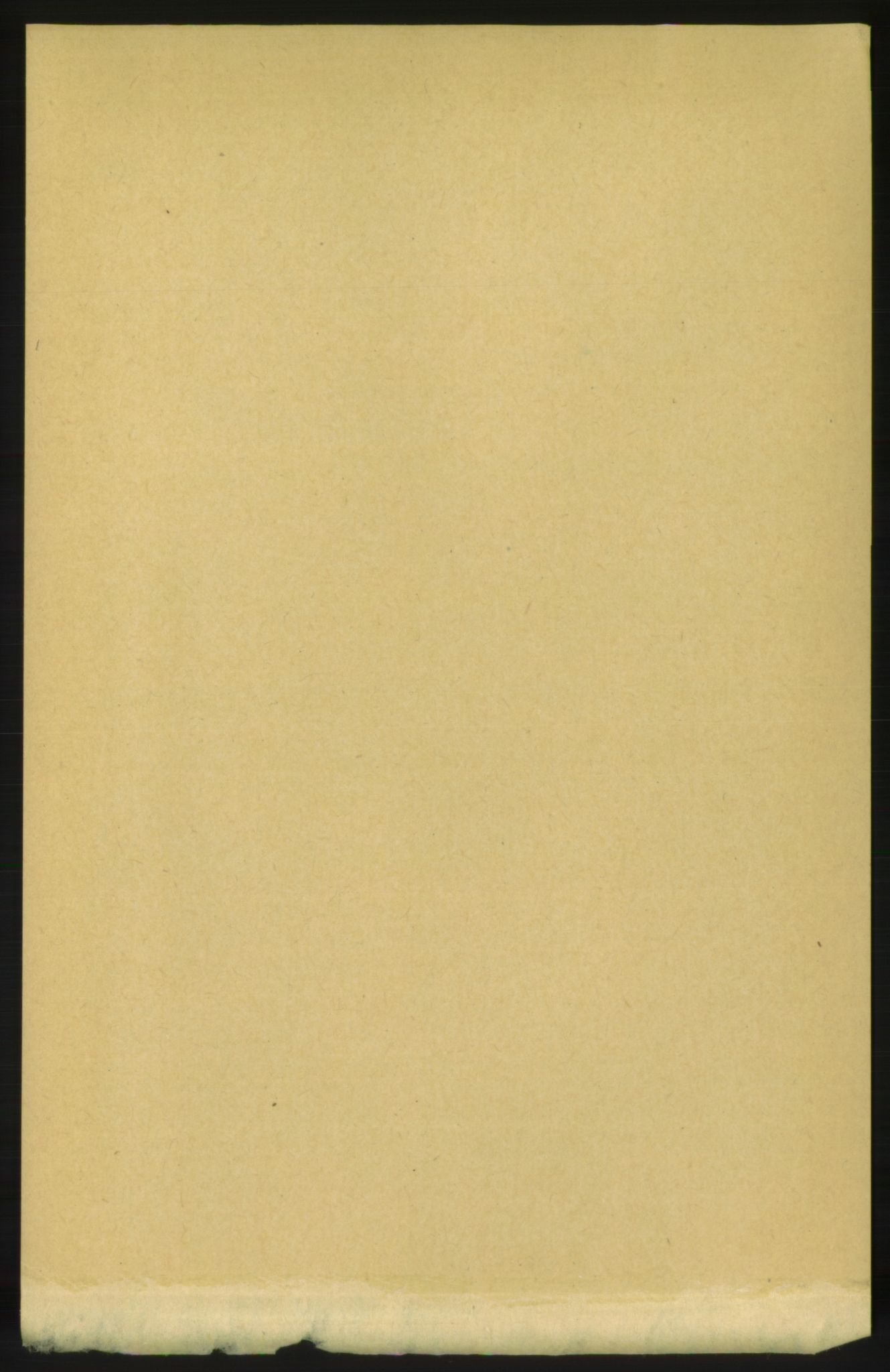 RA, 1891 census for 1566 Surnadal, 1891, p. 1669