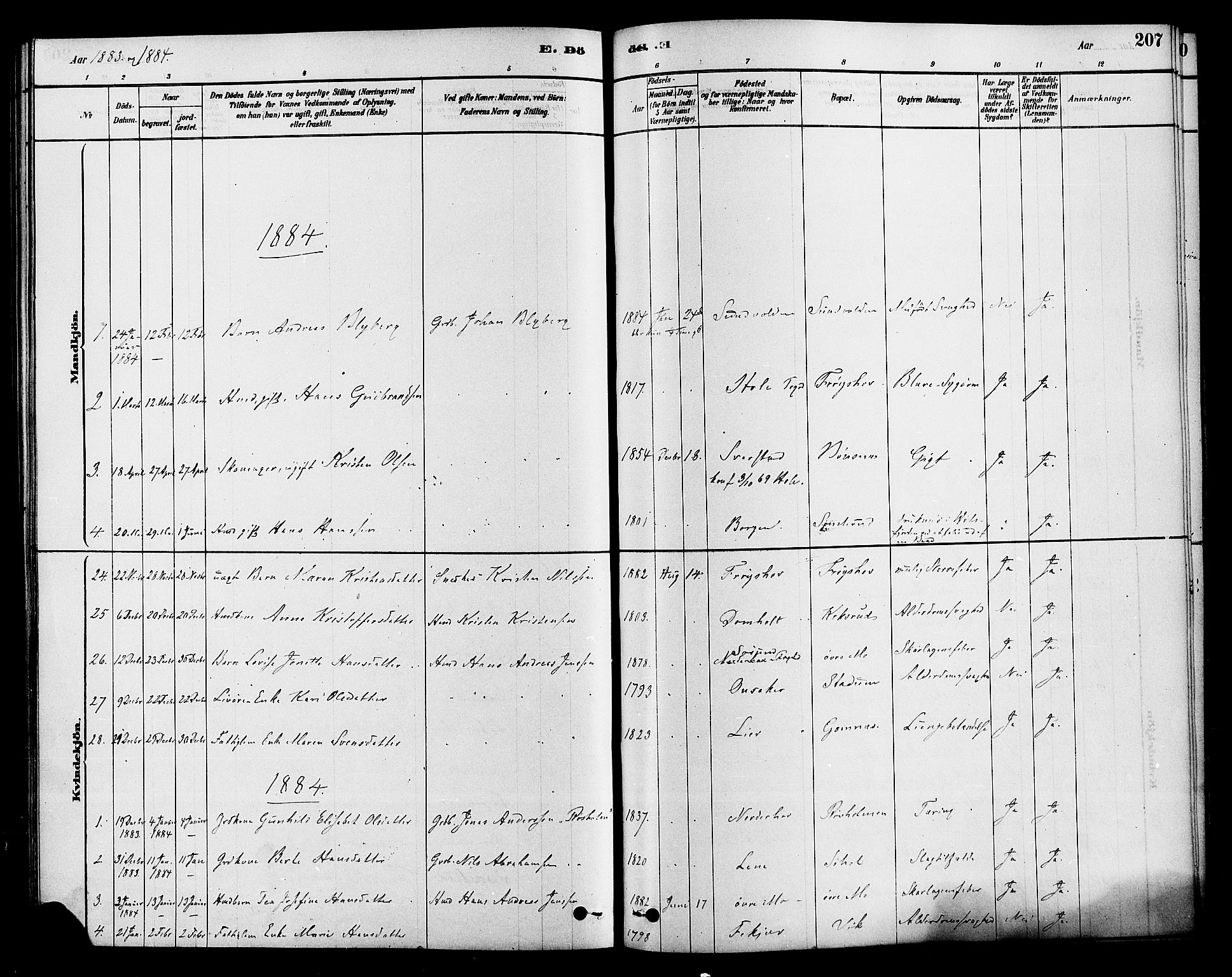 Hole kirkebøker, SAKO/A-228/F/Fa/L0008: Parish register (official) no. I 8, 1878-1891, p. 207