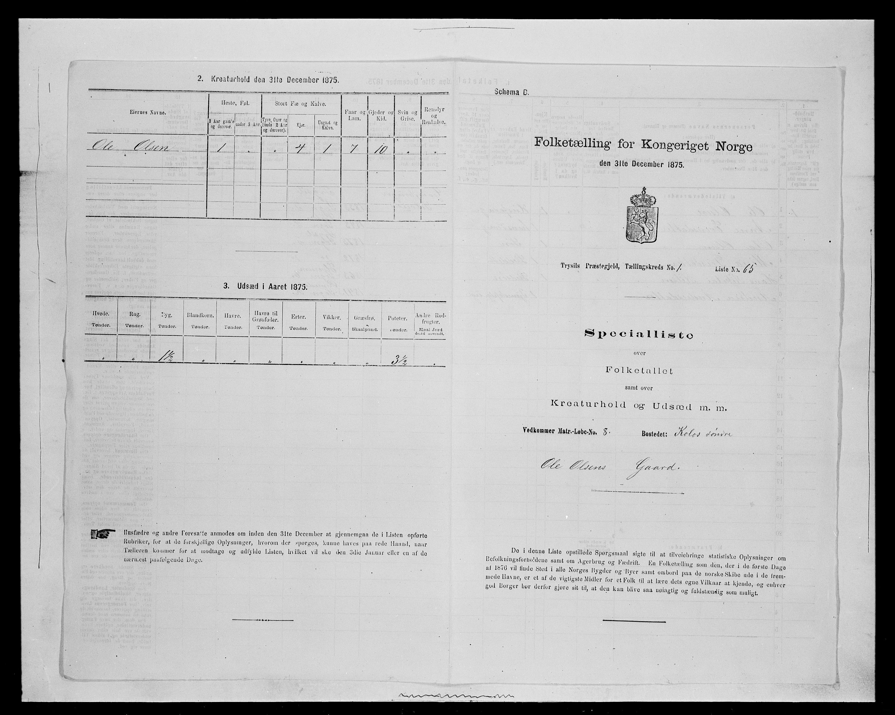 SAH, 1875 census for 0428P Trysil, 1875, p. 255