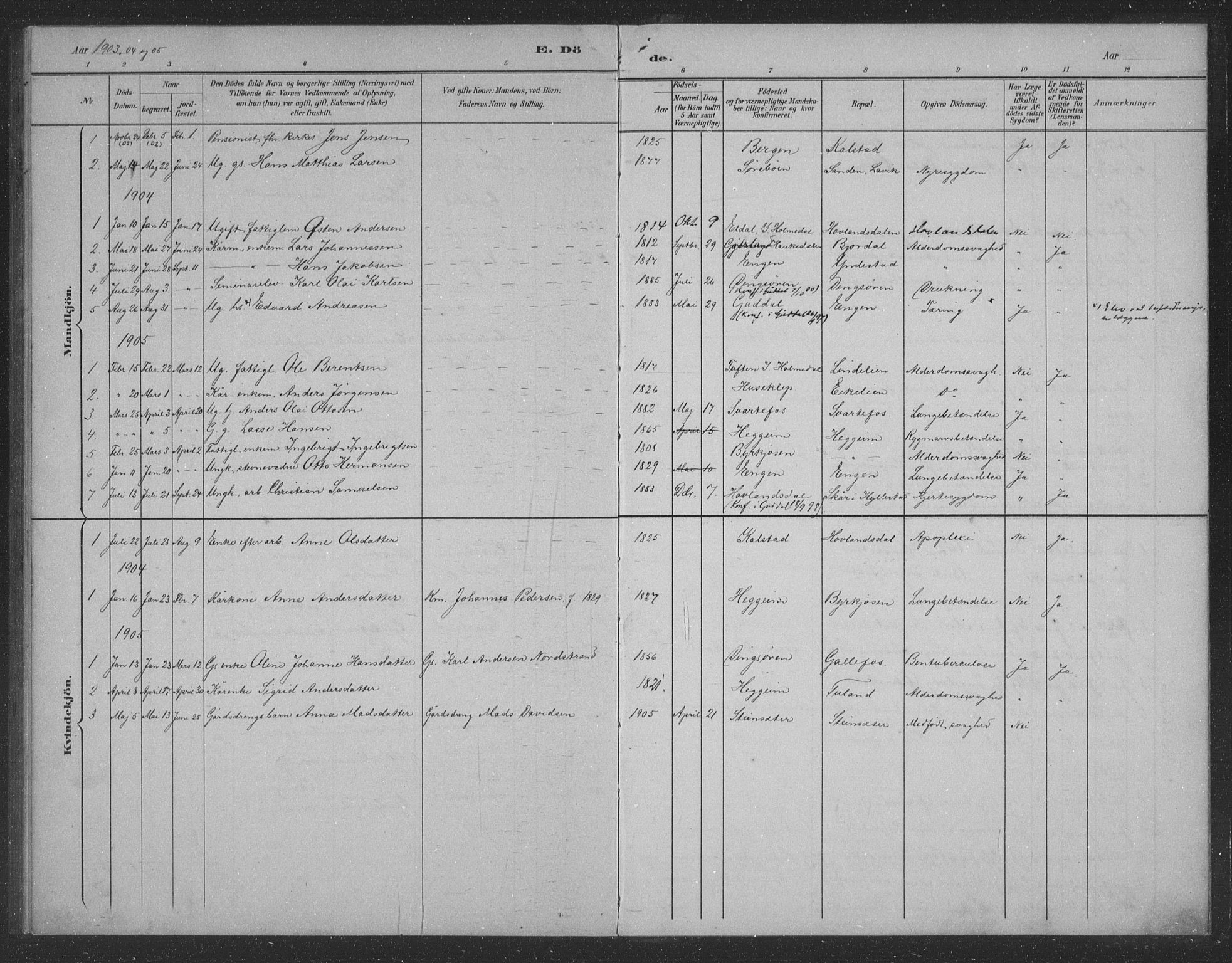 Fjaler sokneprestembete, AV/SAB-A-79801/H/Hab/Habd/L0002: Parish register (copy) no. D 2, 1892-1921