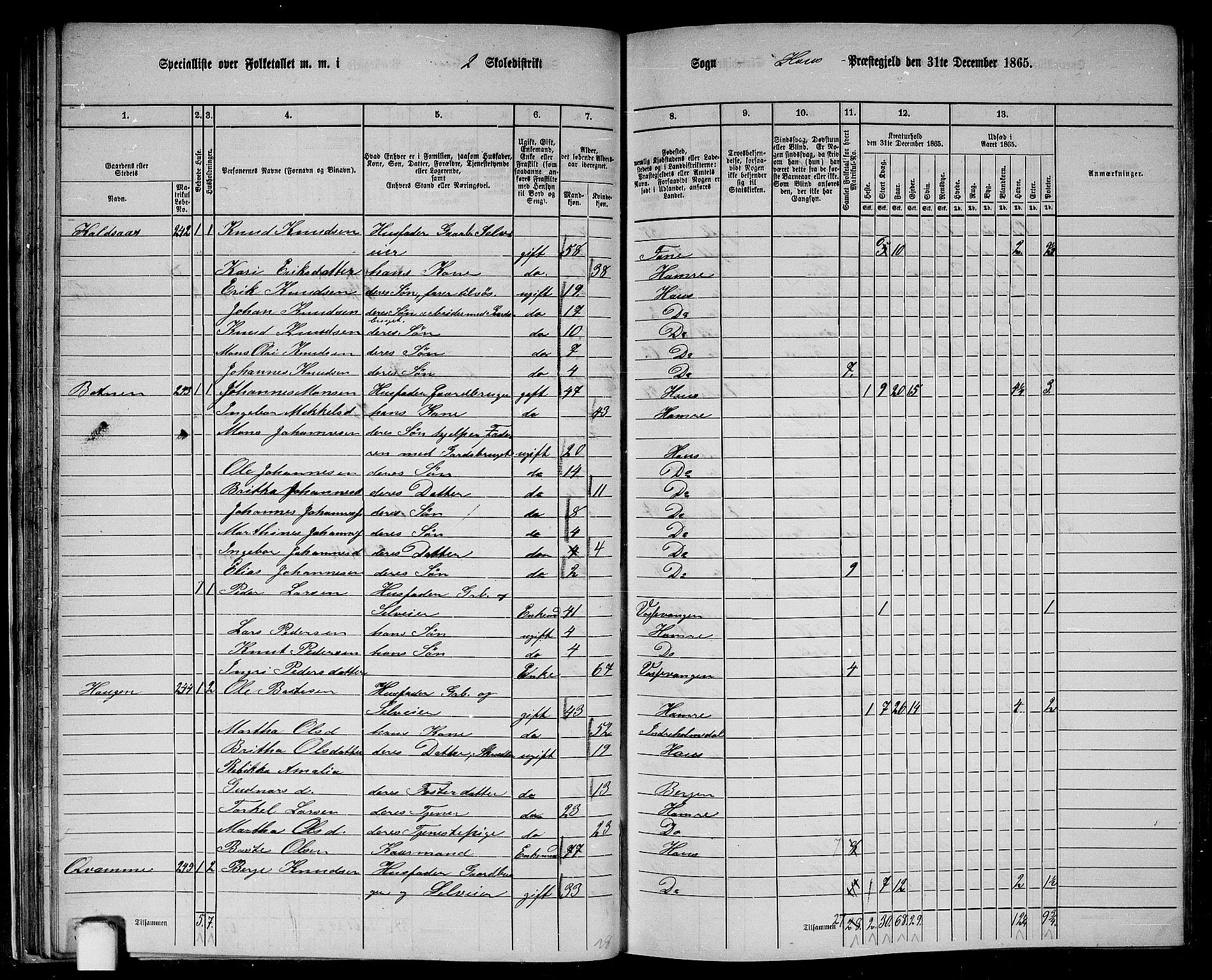 RA, 1865 census for Haus, 1865, p. 43