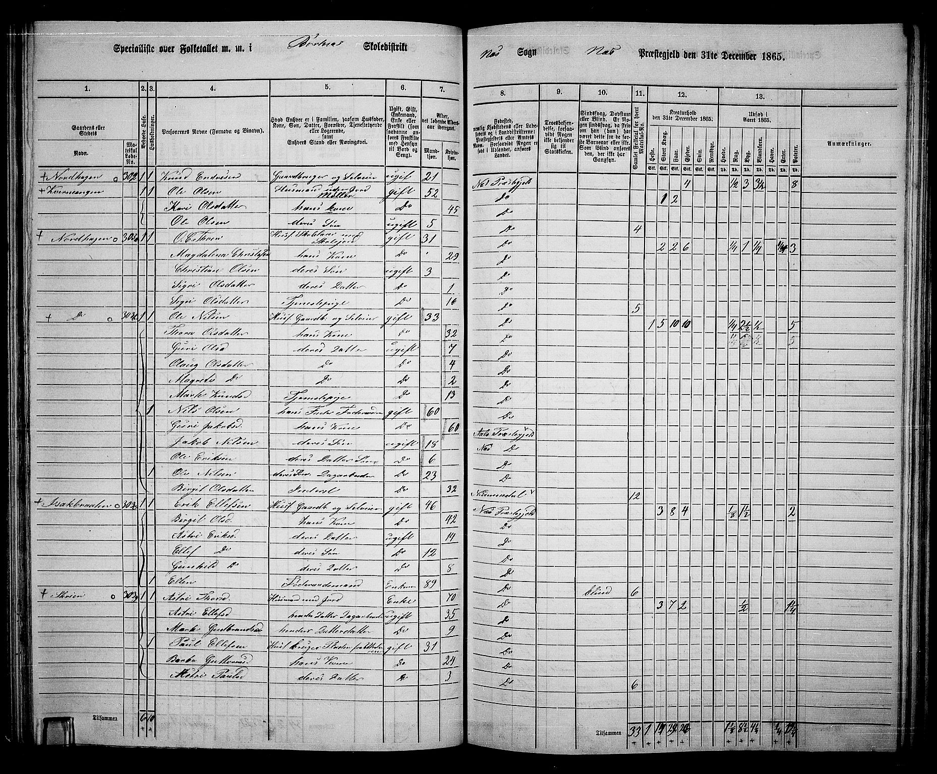 RA, 1865 census for Nes, 1865, p. 121