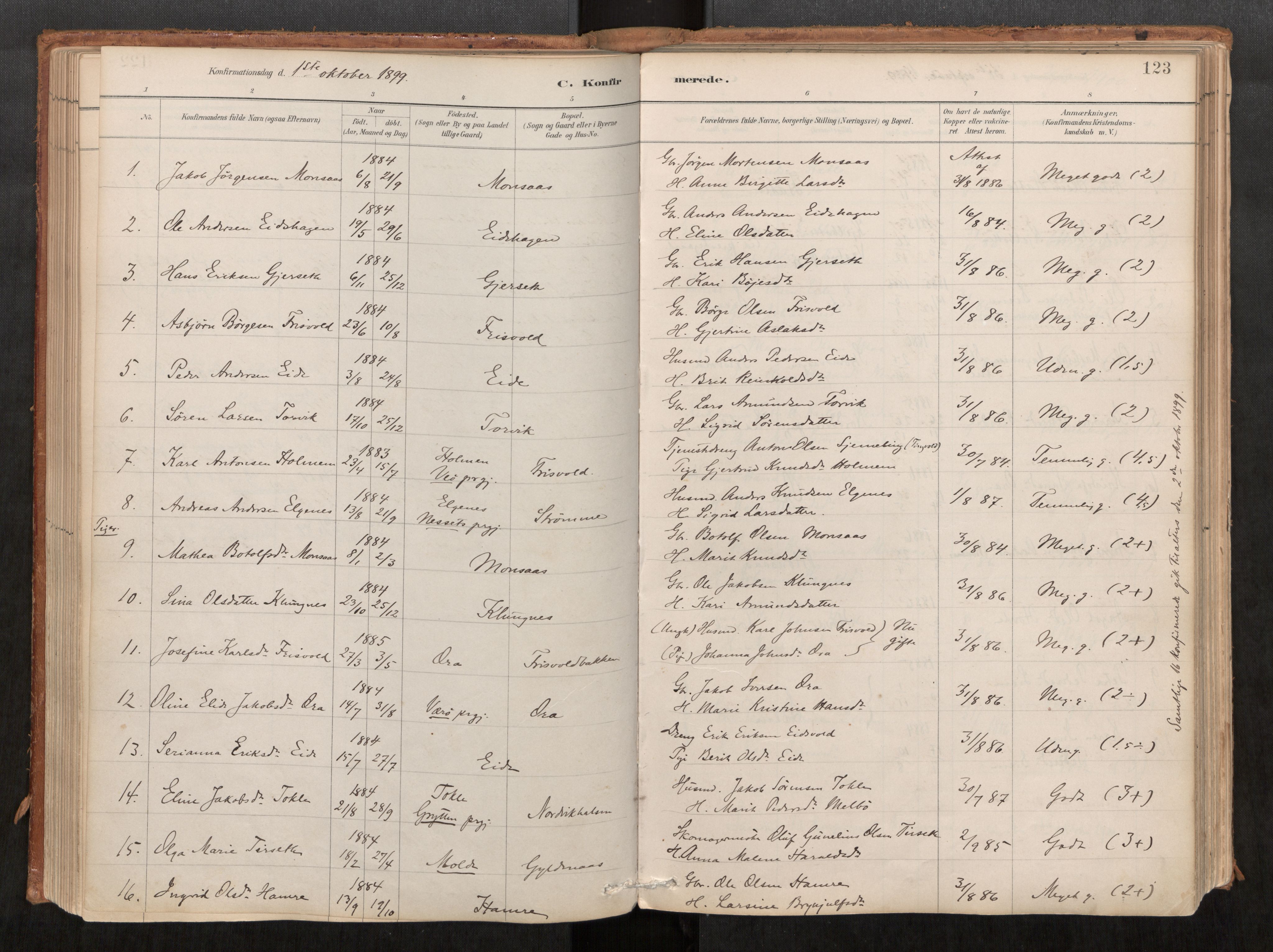 Ministerialprotokoller, klokkerbøker og fødselsregistre - Møre og Romsdal, AV/SAT-A-1454/542/L0553: Parish register (official) no. 542A03, 1885-1925, p. 123