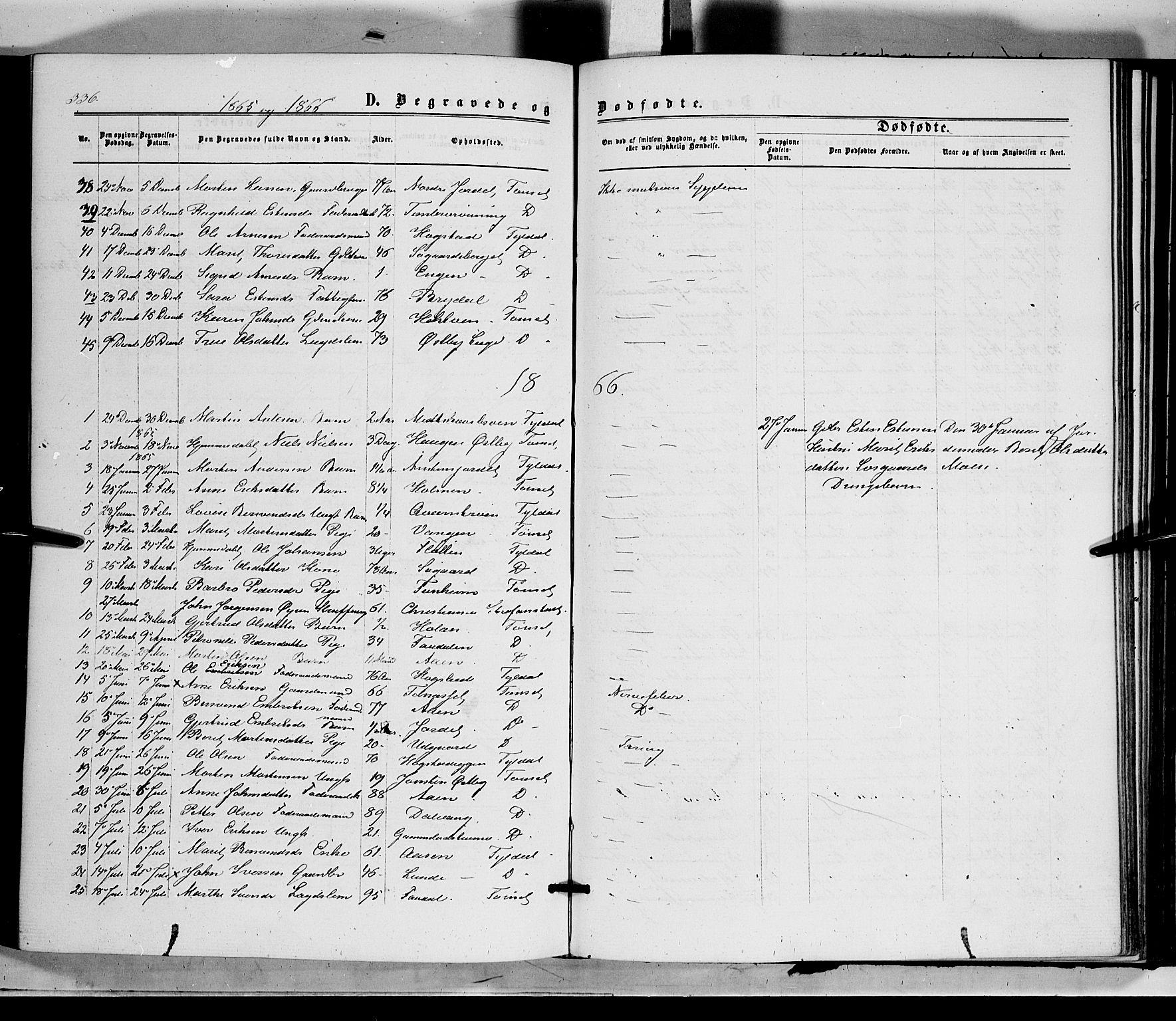 Tynset prestekontor, SAH/PREST-058/H/Ha/Haa/L0021: Parish register (official) no. 21, 1863-1879, p. 336