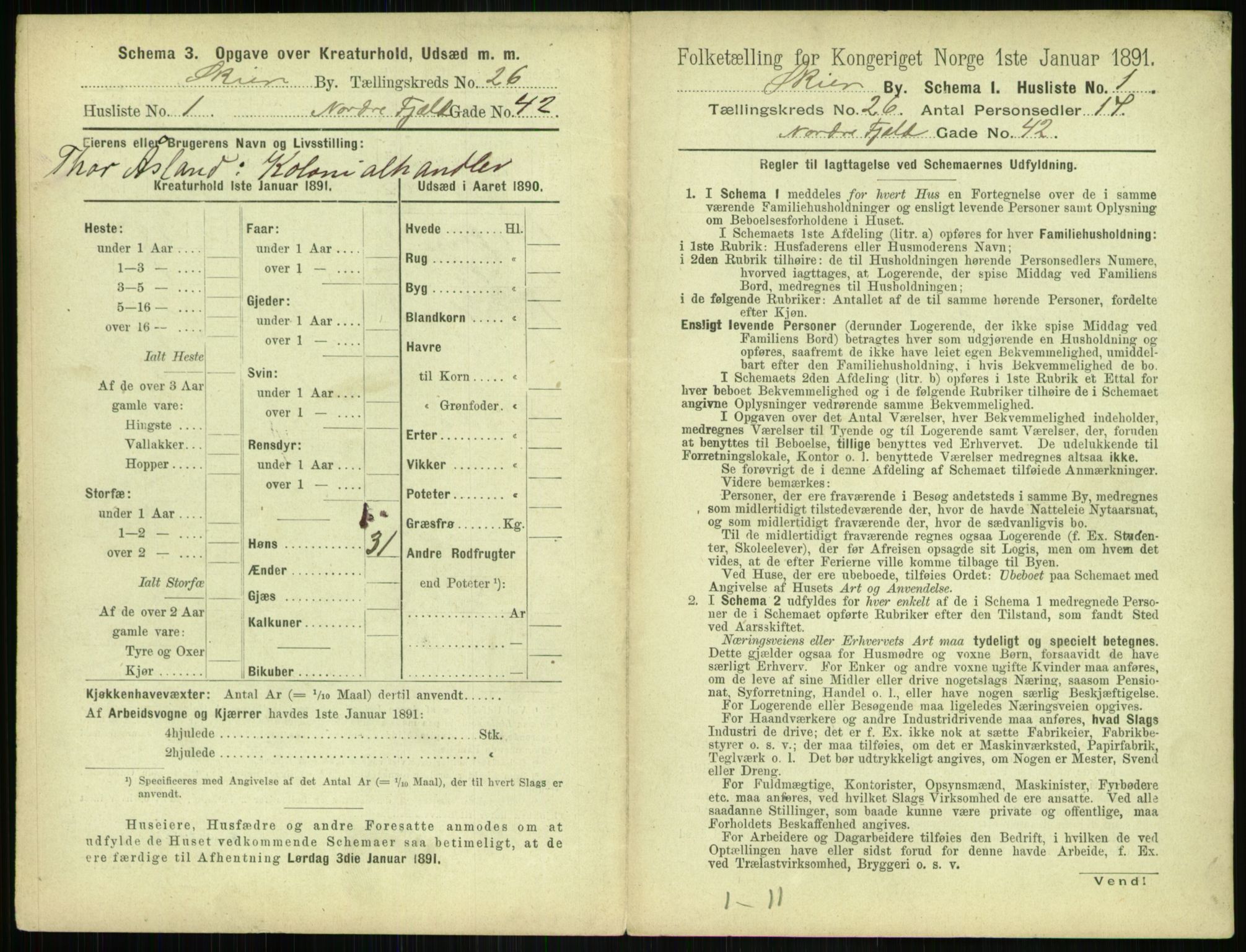 RA, 1891 census for 0806 Skien, 1891, p. 976