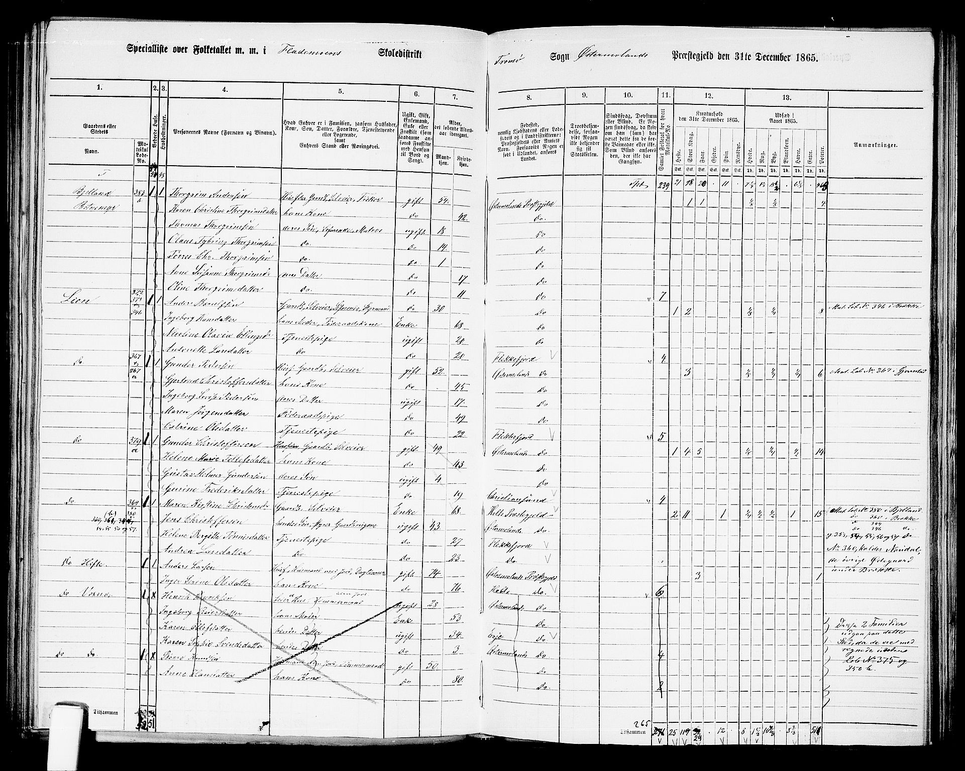 RA, 1865 census for Austre Moland, 1865, p. 225