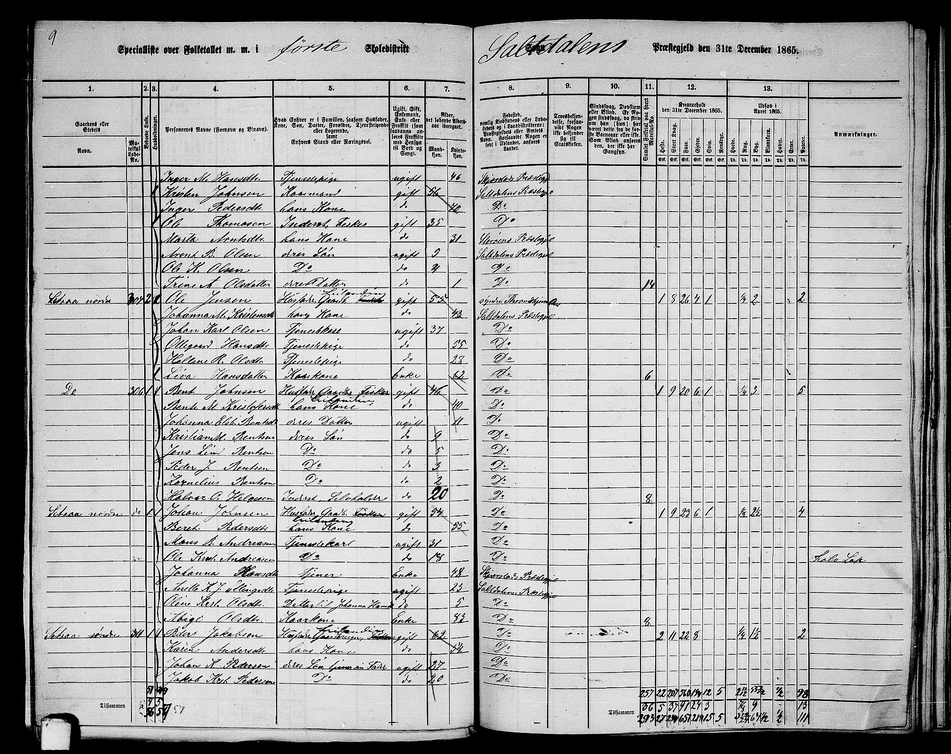 RA, 1865 census for Saltdal, 1865, p. 14