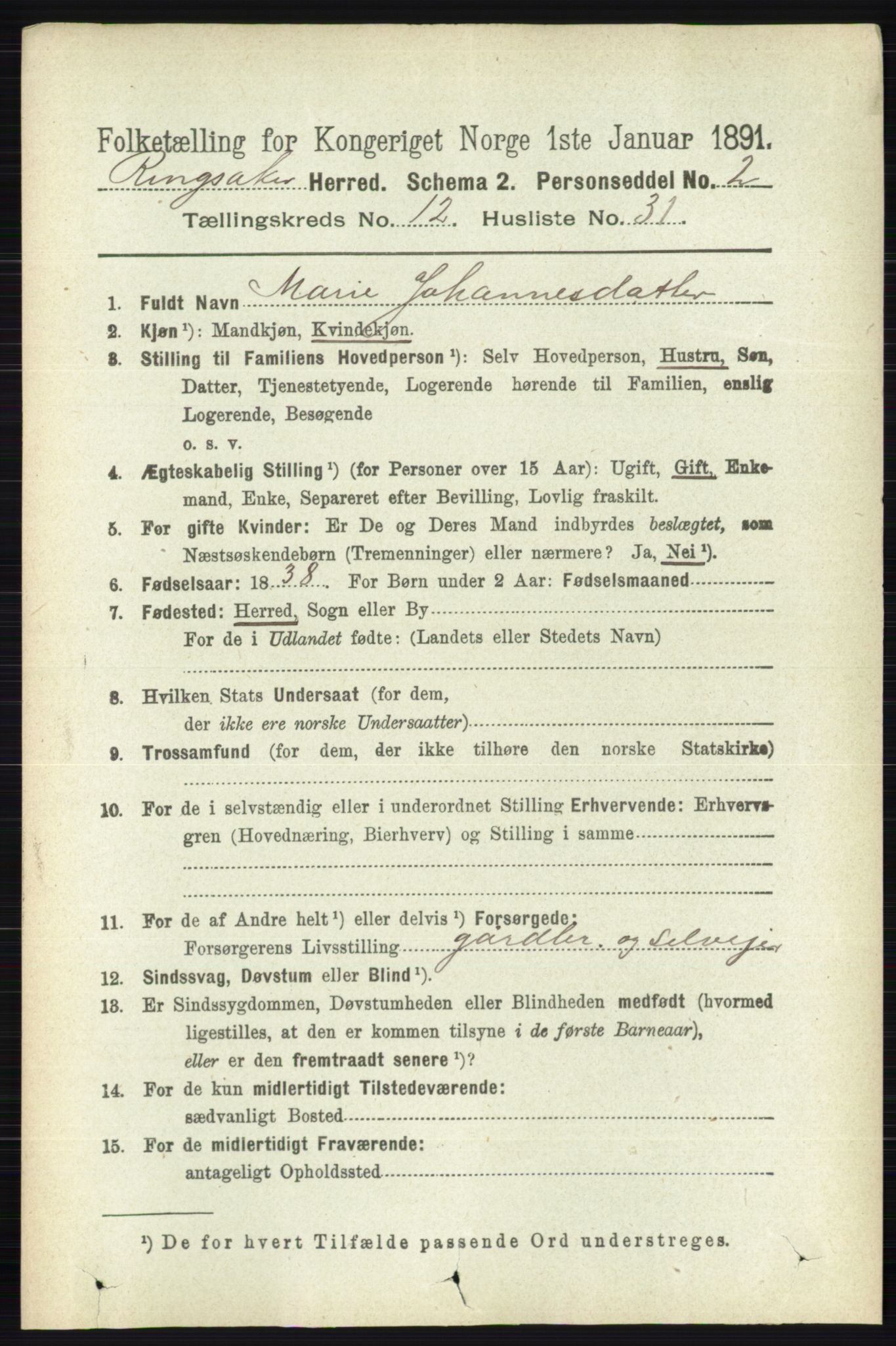 RA, 1891 census for 0412 Ringsaker, 1891, p. 6918