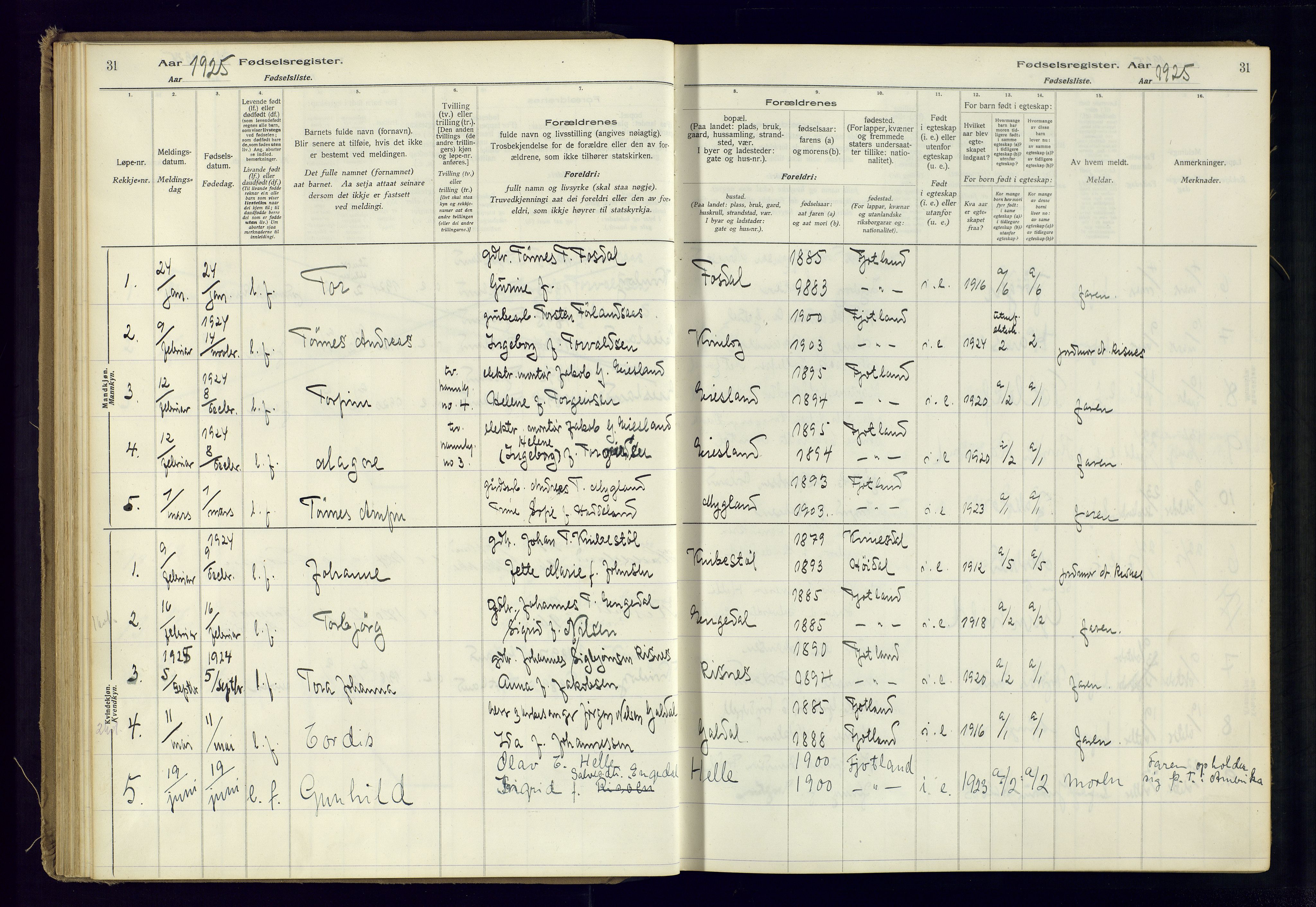 Fjotland sokneprestkontor, AV/SAK-1111-0010/J/Ja/L0001: Birth register no. 1, 1916-1981, p. 31