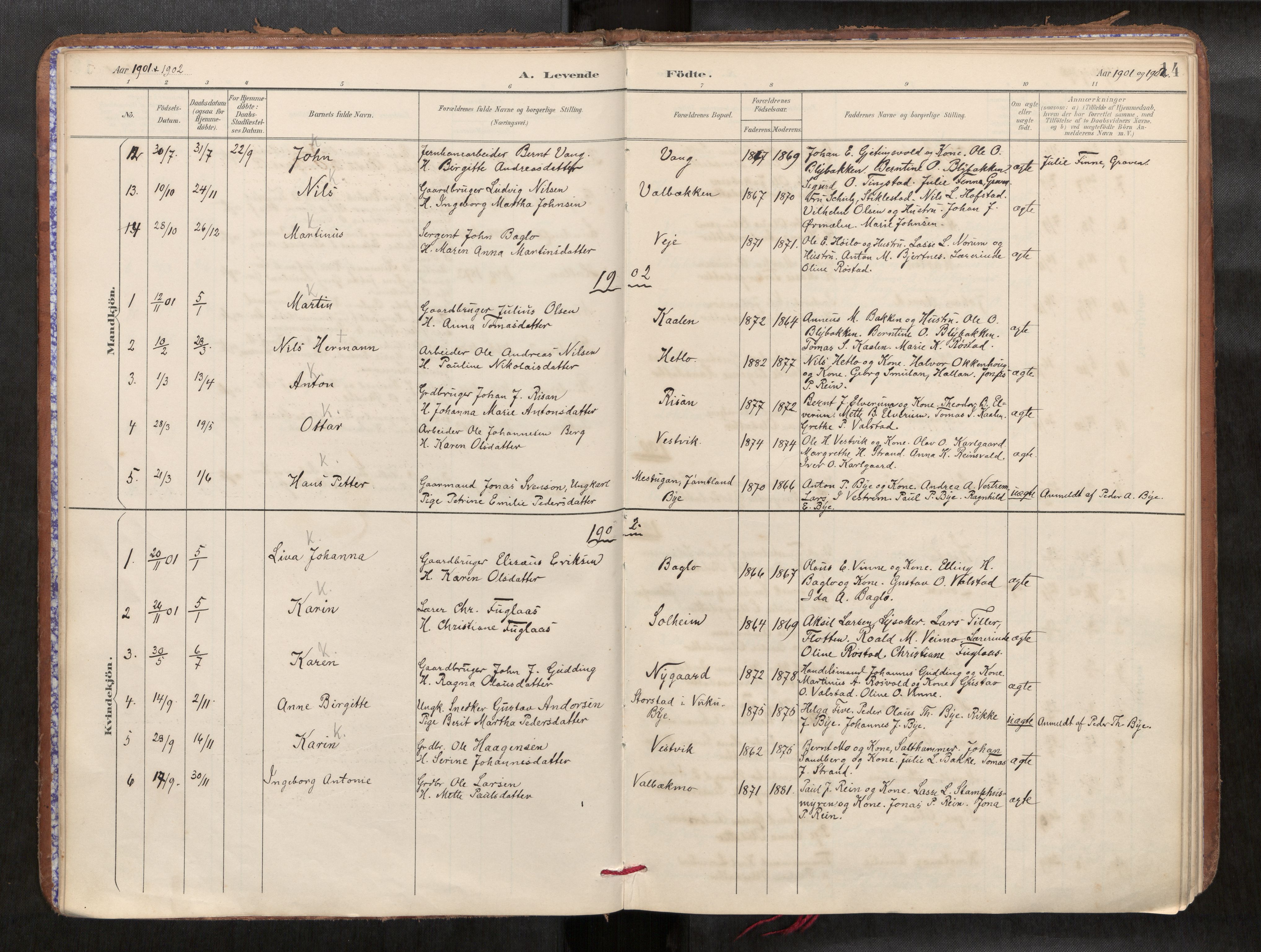 Verdal sokneprestkontor, AV/SAT-A-1156/2/H/Haa/L0002: Parish register (official) no. 2, 1891-1907, p. 14