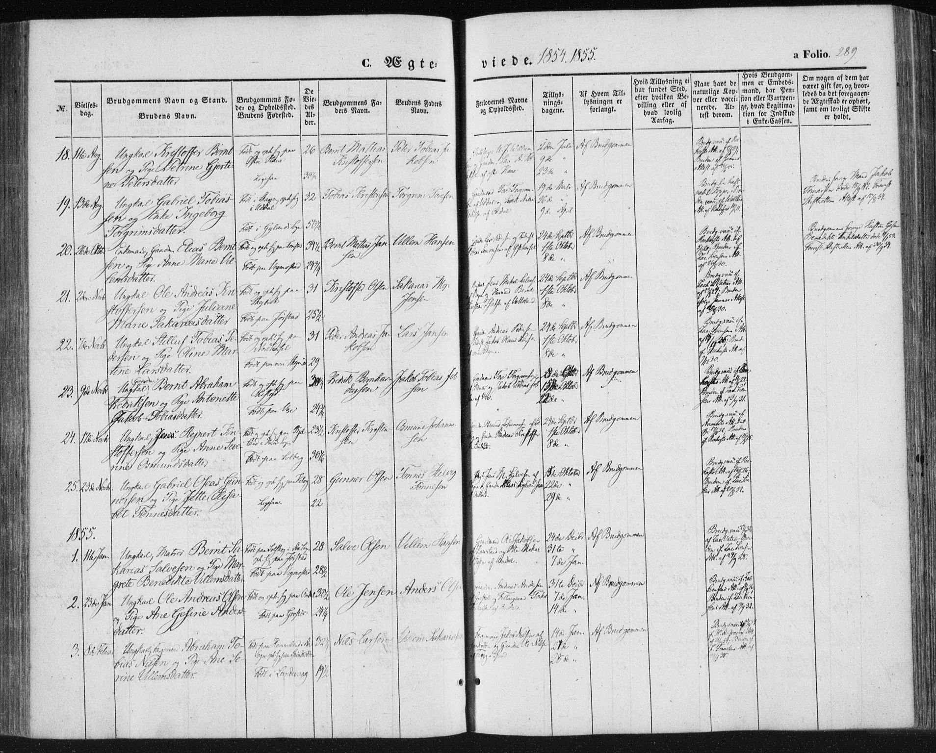 Lista sokneprestkontor, SAK/1111-0027/F/Fa/L0010: Parish register (official) no. A 10, 1846-1861, p. 289