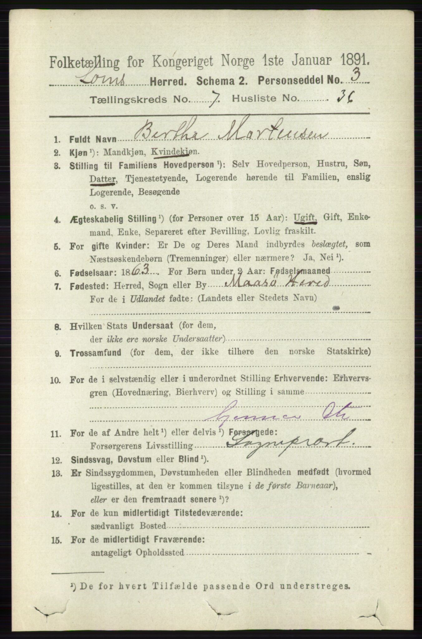 RA, 1891 census for 0514 Lom, 1891, p. 3033