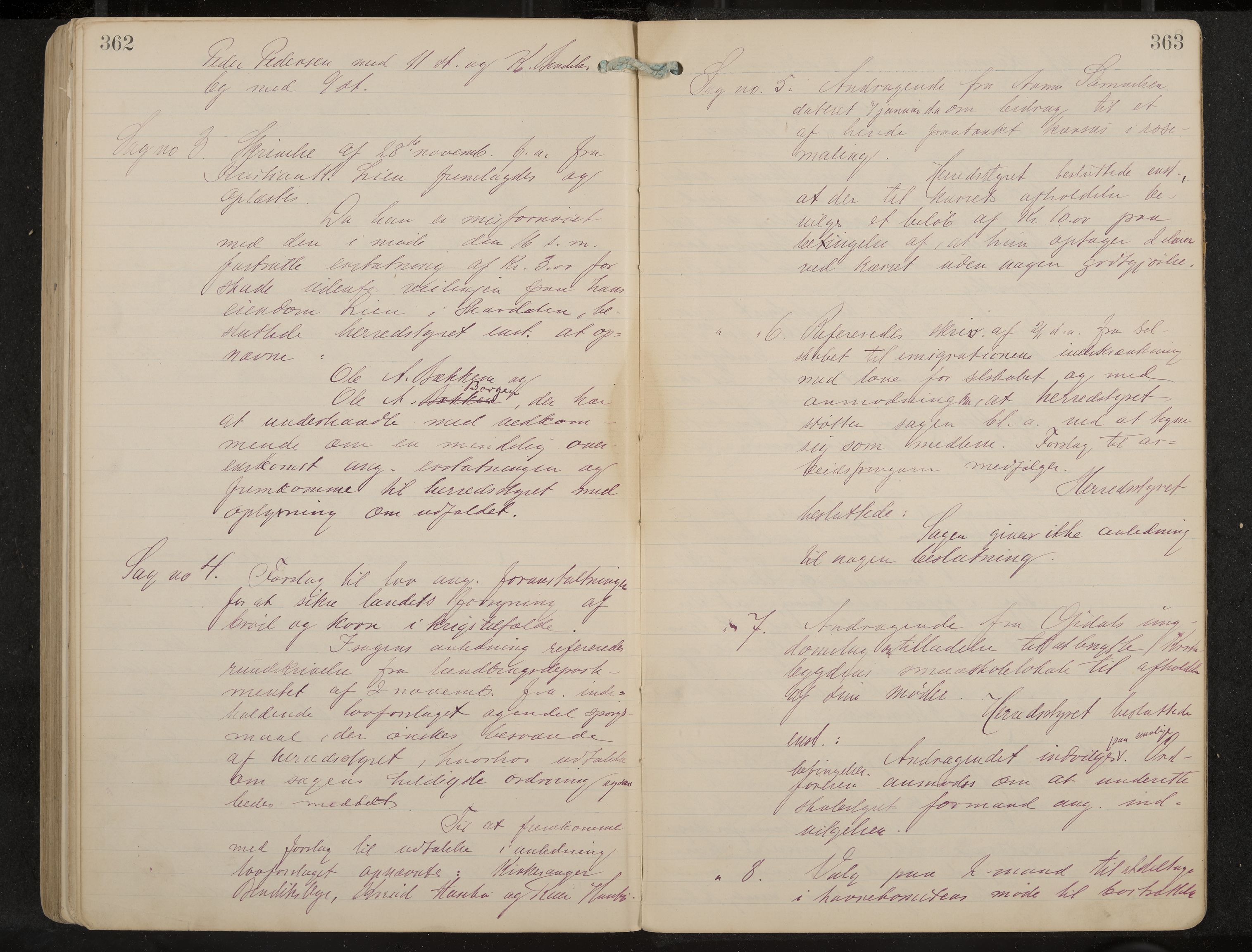 Uvdal formannskap og sentraladministrasjon, IKAK/0634021/A/Aa/L0001: Møtebok, 1901-1909, p. 362-363