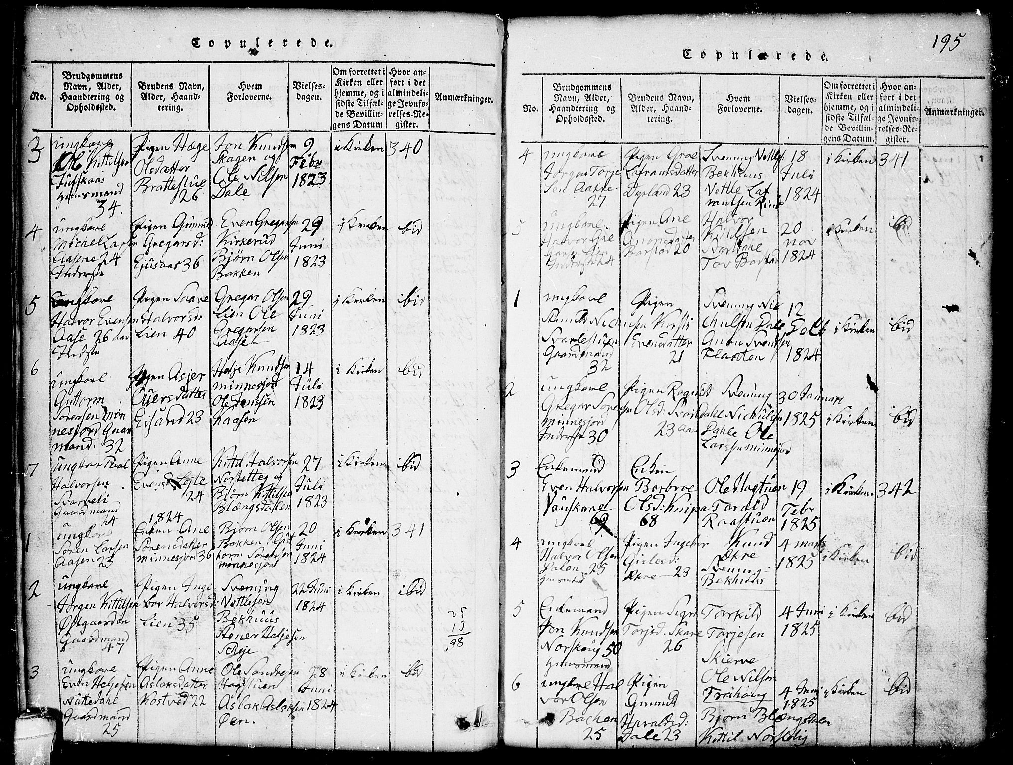 Seljord kirkebøker, SAKO/A-20/G/Gb/L0002: Parish register (copy) no. II 2, 1815-1854, p. 195
