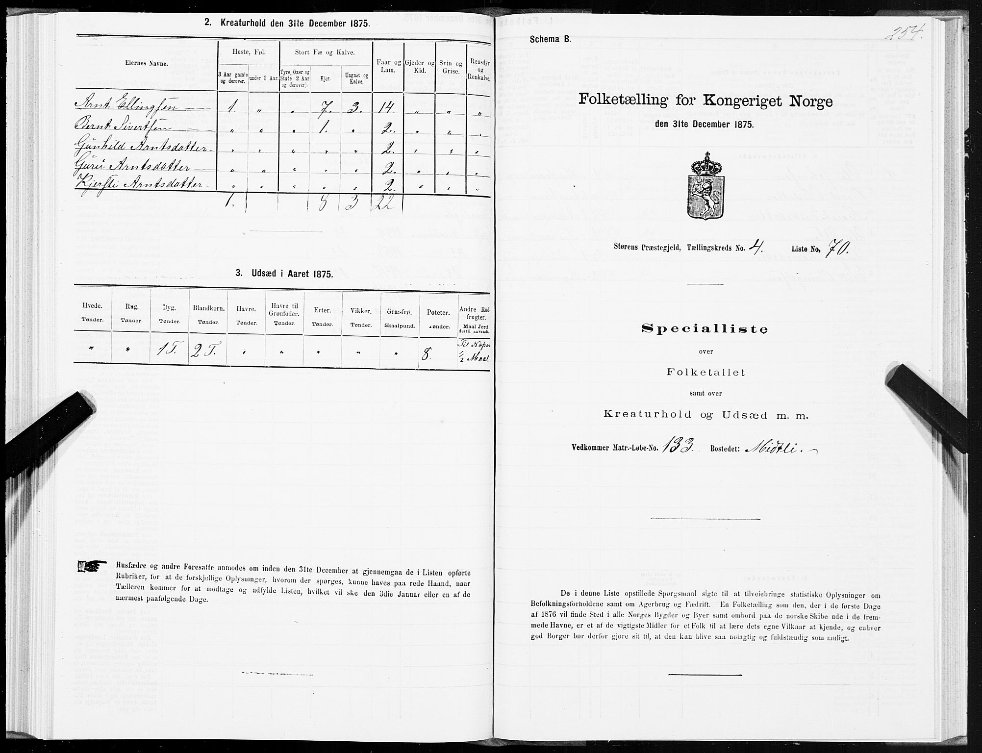 SAT, 1875 census for 1648P Støren, 1875, p. 8254