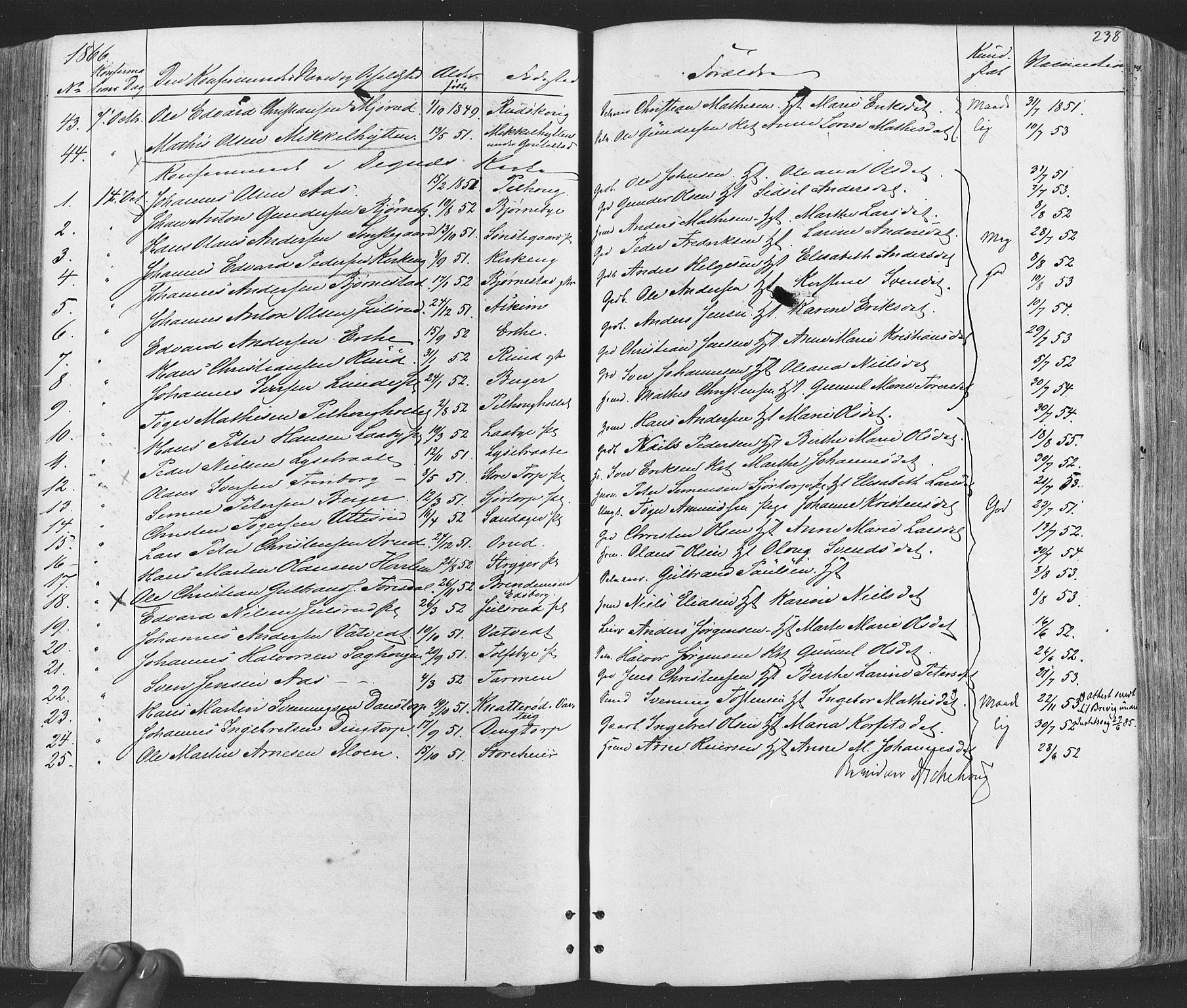 Rakkestad prestekontor Kirkebøker, AV/SAO-A-2008/F/Fa/L0011: Parish register (official) no. I 11, 1862-1877, p. 238