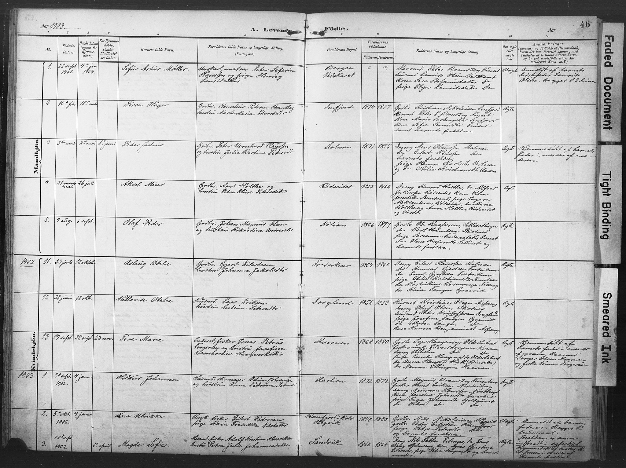 Ministerialprotokoller, klokkerbøker og fødselsregistre - Nord-Trøndelag, AV/SAT-A-1458/789/L0706: Parish register (copy) no. 789C01, 1888-1931, p. 46