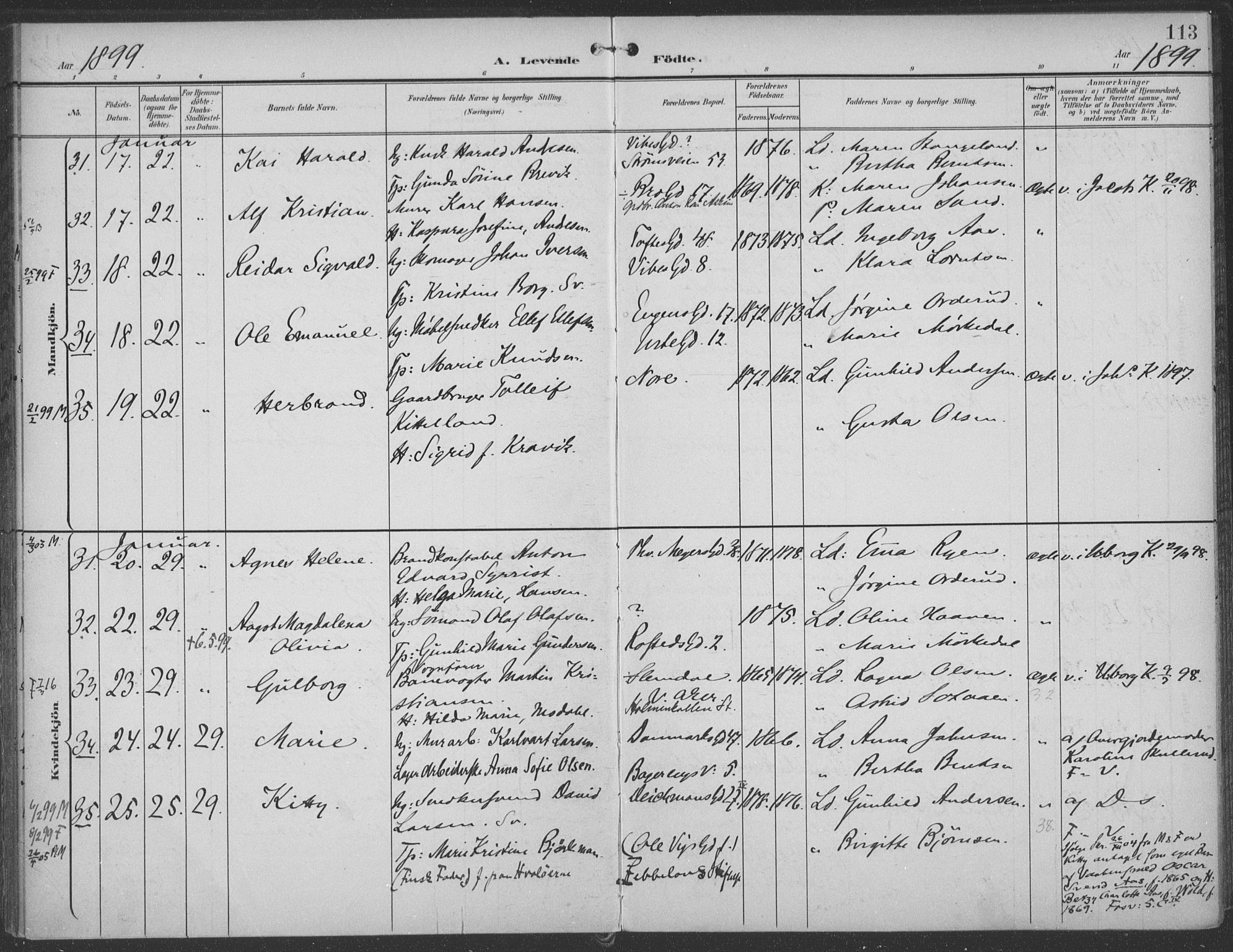 Rikshospitalet prestekontor Kirkebøker, SAO/A-10309b/F/L0011: Parish register (official) no. 11, 1898-1900, p. 113