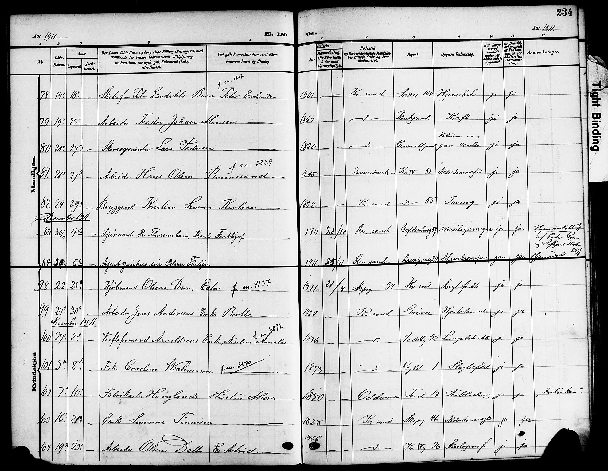 Kristiansand domprosti, SAK/1112-0006/F/Fb/L0020: Parish register (copy) no. B 20, 1906-1915, p. 234
