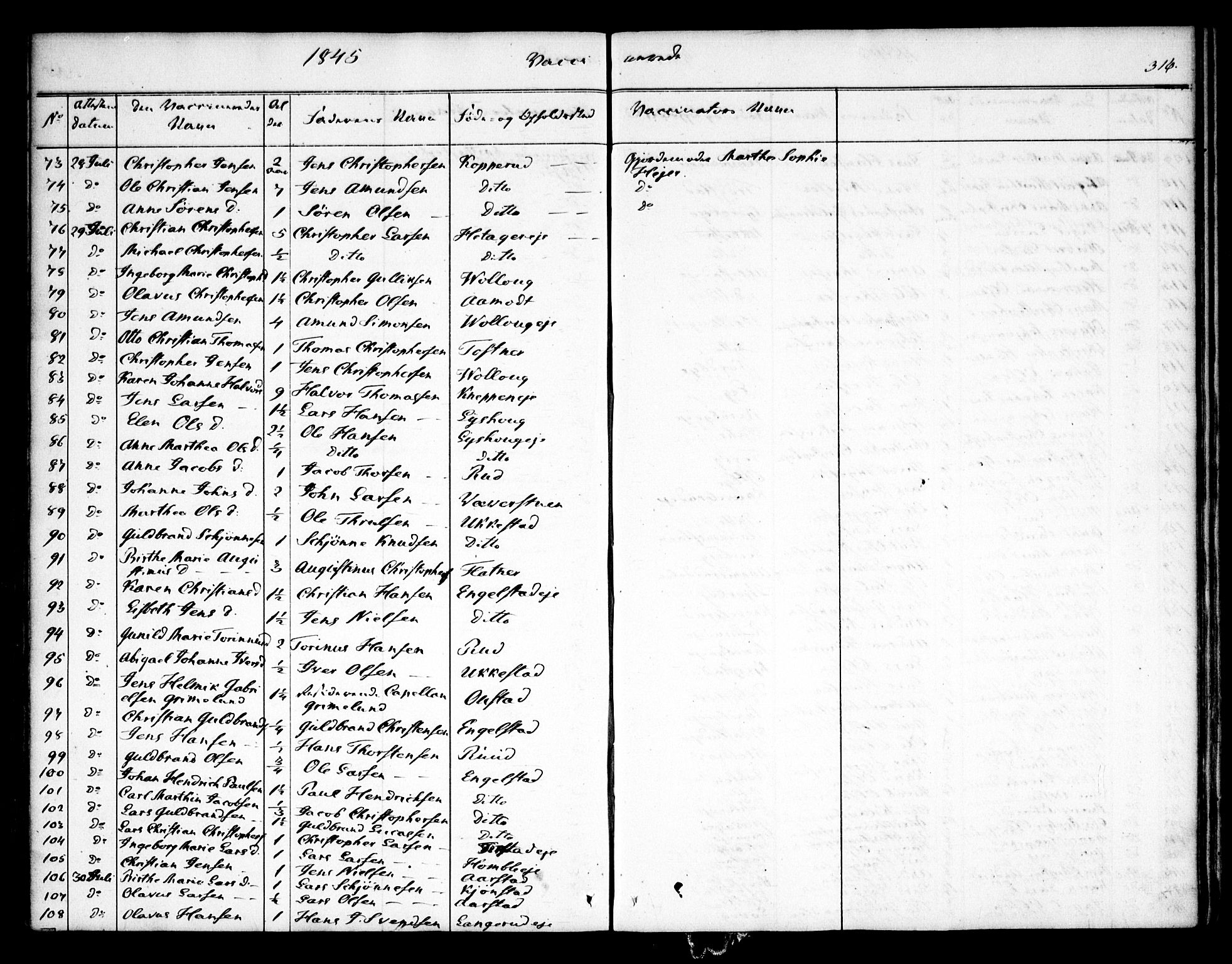 Nannestad prestekontor Kirkebøker, AV/SAO-A-10414a/F/Fa/L0010: Parish register (official) no. I 10, 1840-1850, p. 316