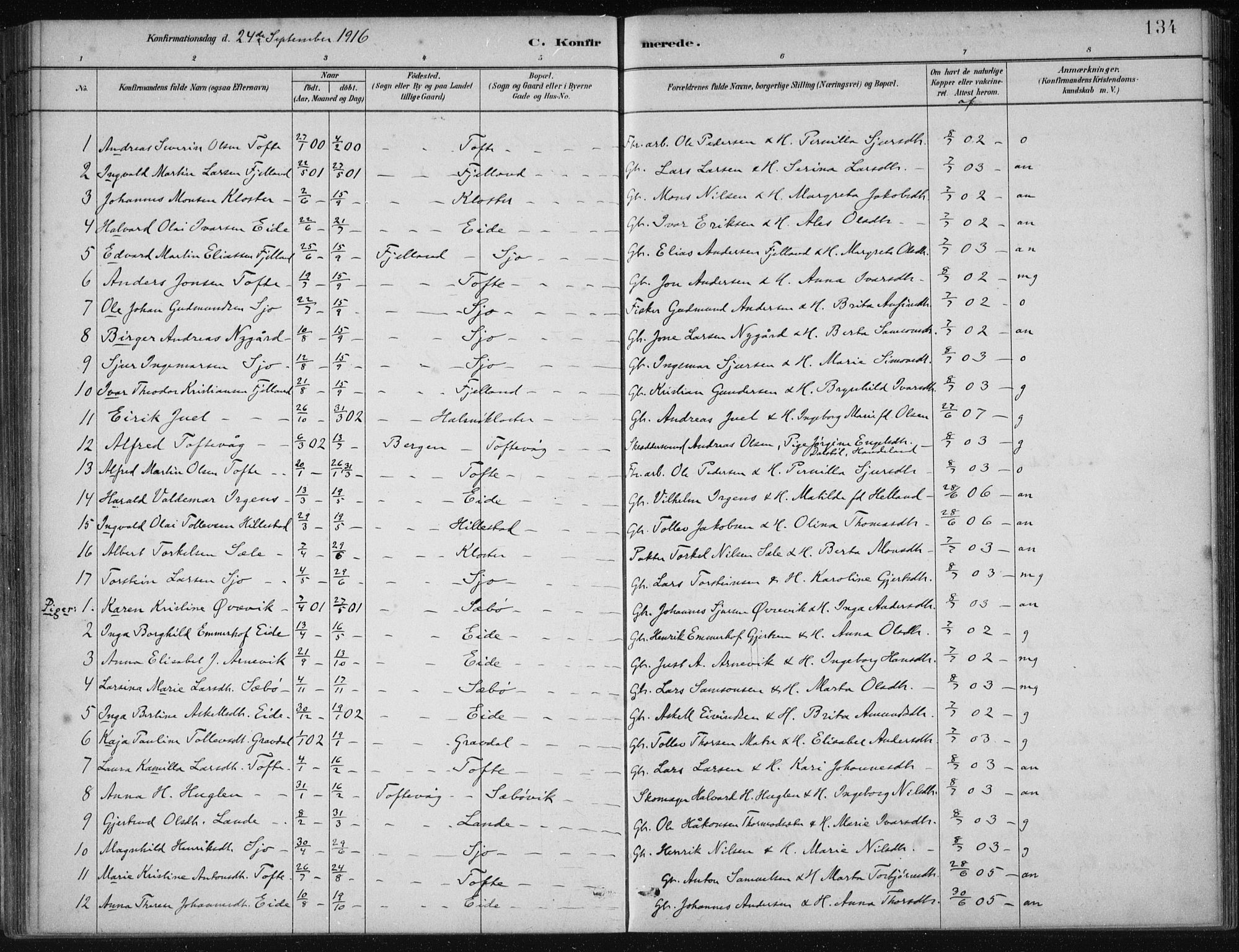 Fjelberg sokneprestembete, SAB/A-75201/H/Haa: Parish register (official) no. C  1, 1879-1918, p. 134