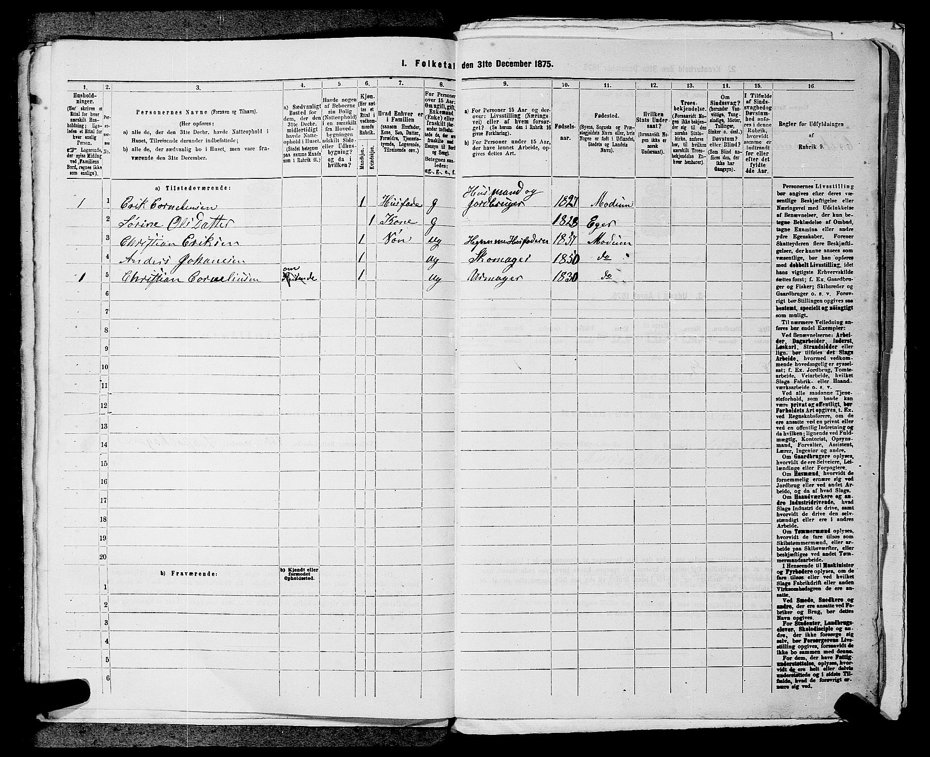 SAKO, 1875 census for 0623P Modum, 1875, p. 2721