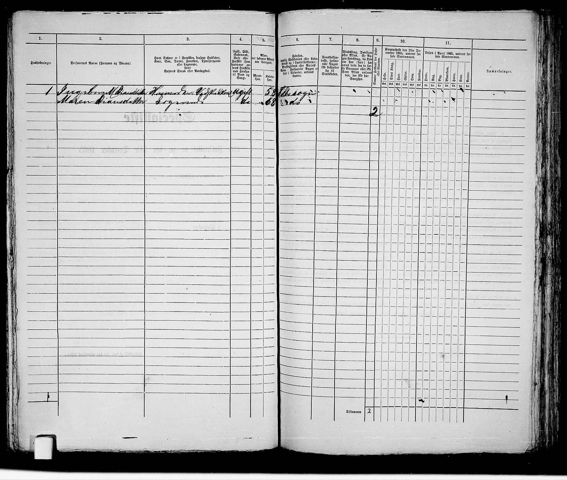 RA, 1865 census for Holt/Tvedestrand, 1865, p. 208