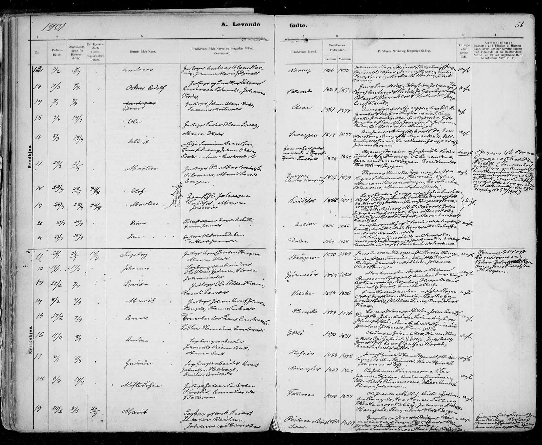 Ministerialprotokoller, klokkerbøker og fødselsregistre - Sør-Trøndelag, SAT/A-1456/668/L0811: Parish register (official) no. 668A11, 1894-1913, p. 56
