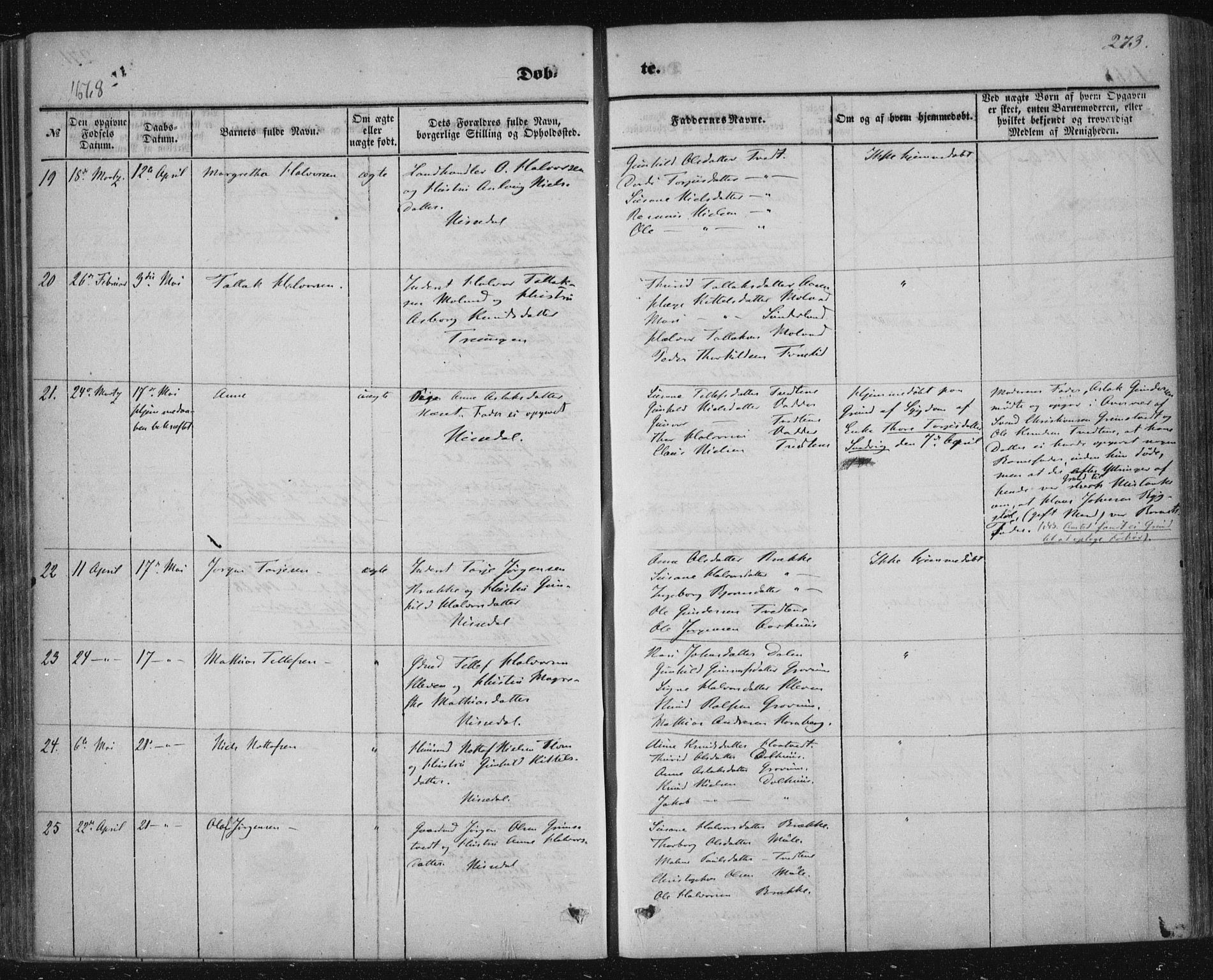 Nissedal kirkebøker, AV/SAKO-A-288/F/Fa/L0003: Parish register (official) no. I 3, 1846-1870, p. 272-273